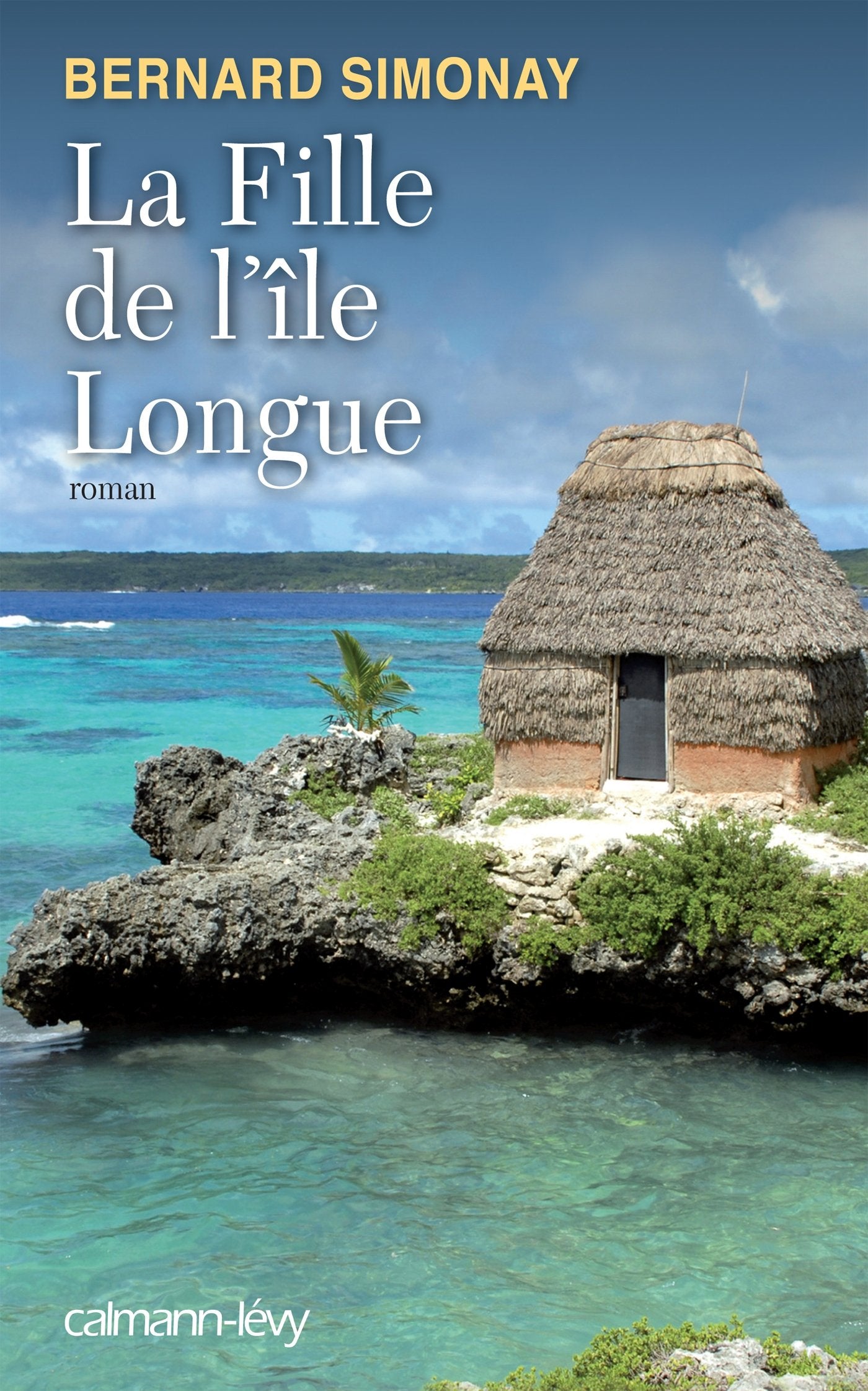 La Fille de l'île longue 9782702144183