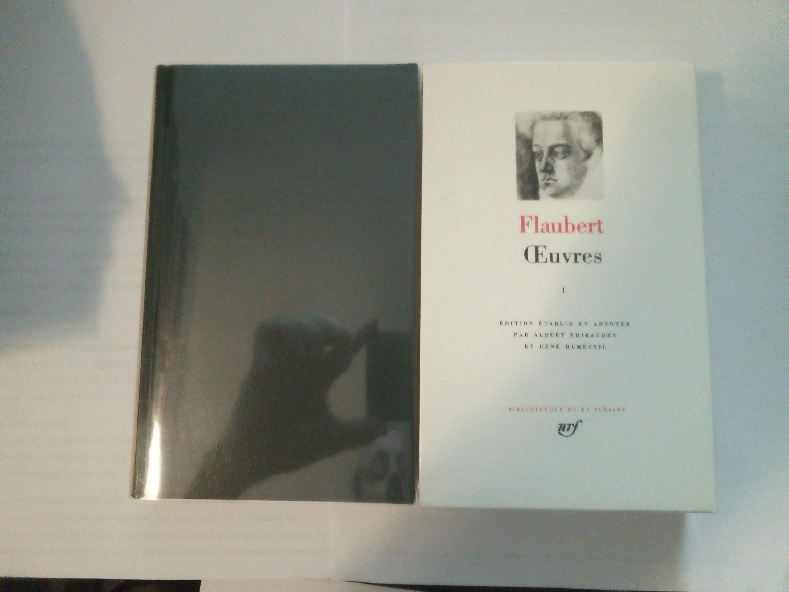 Flaubert : Oeuvres tome 1 9782070102013