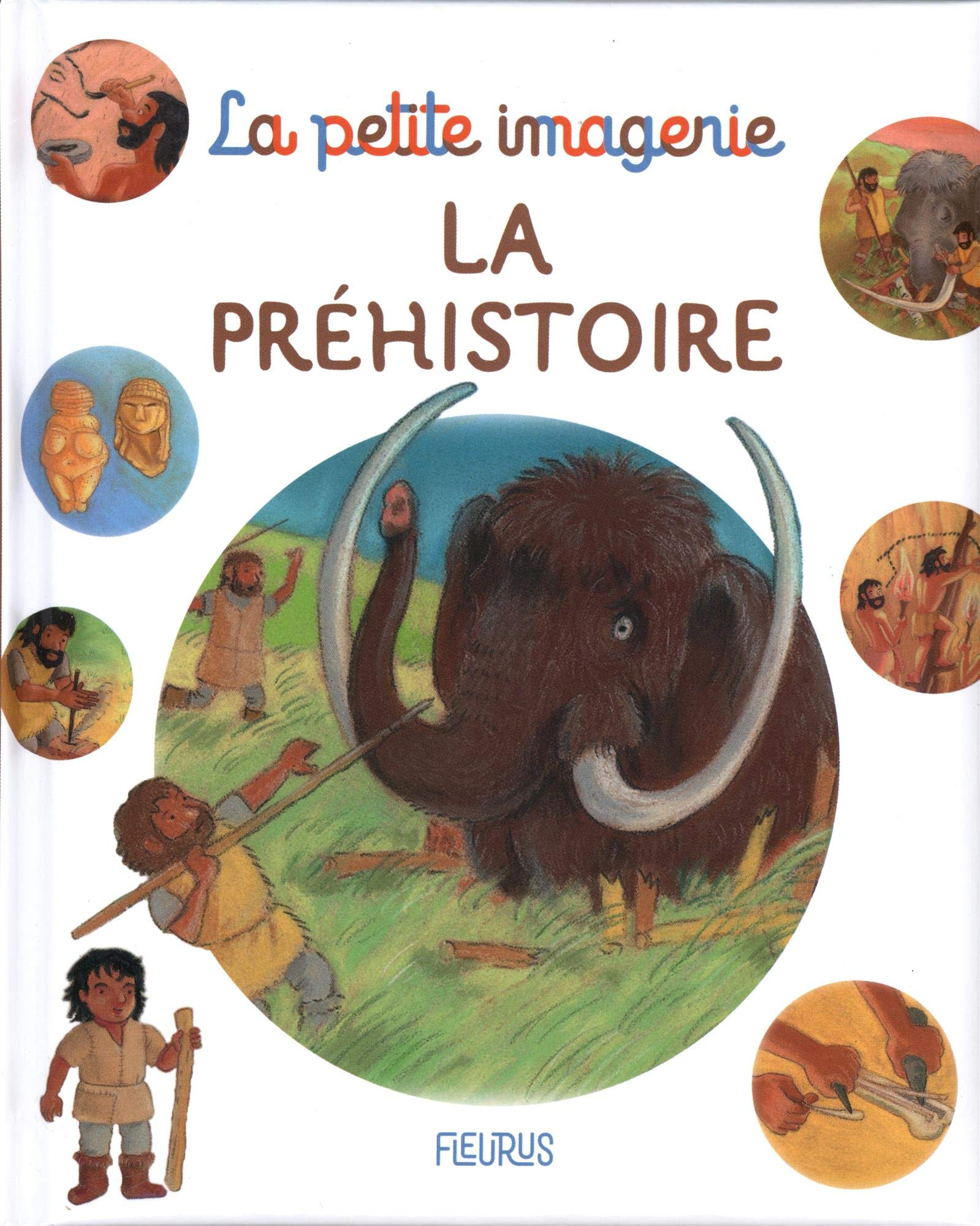 La préhistoire 9782215170877