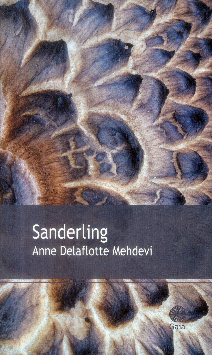 Sanderling 9782847203295