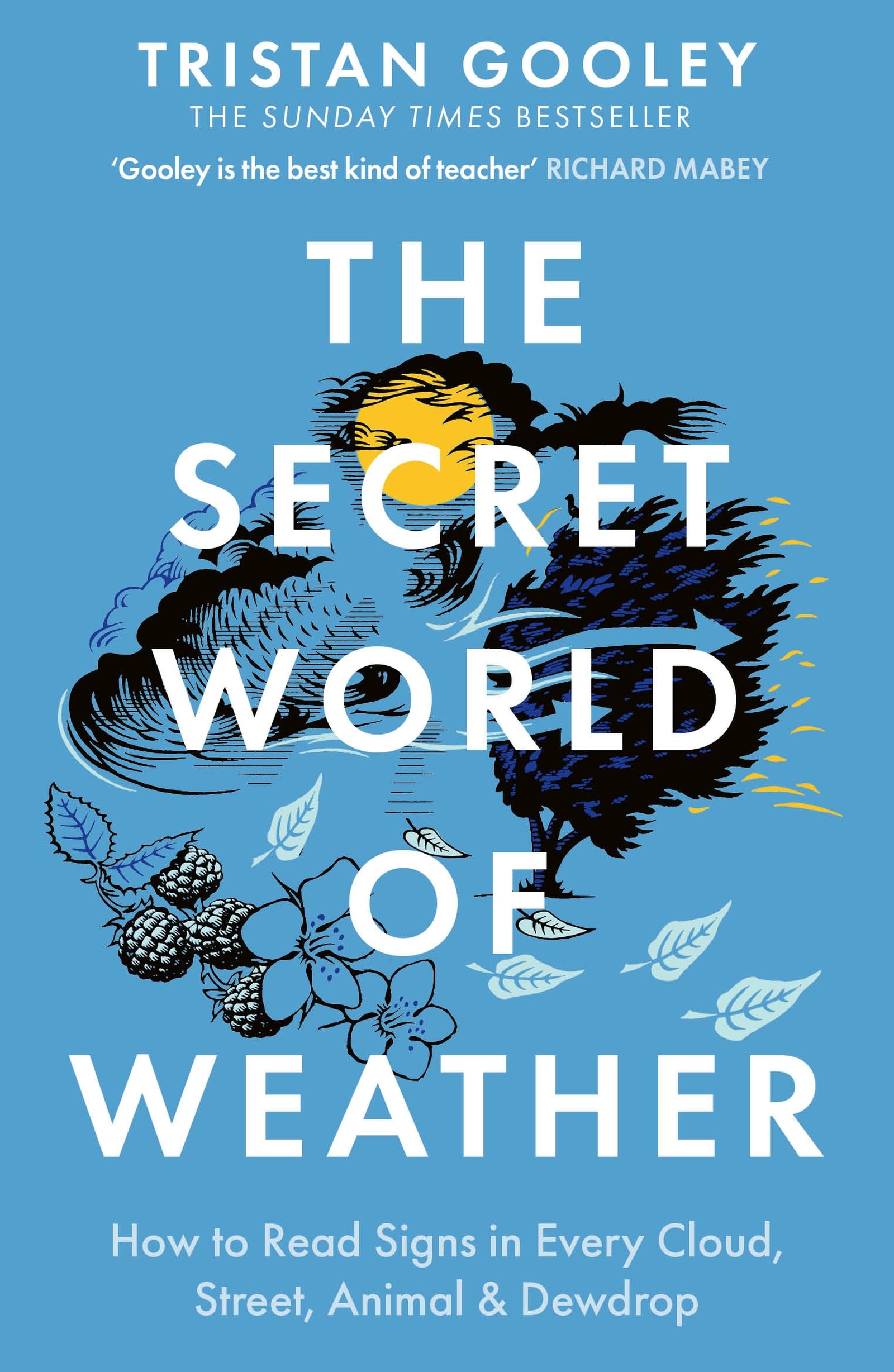 The Secret World of Weather: A must-have for all nature lovers - perfect reading for your summer adventures 9781529339581