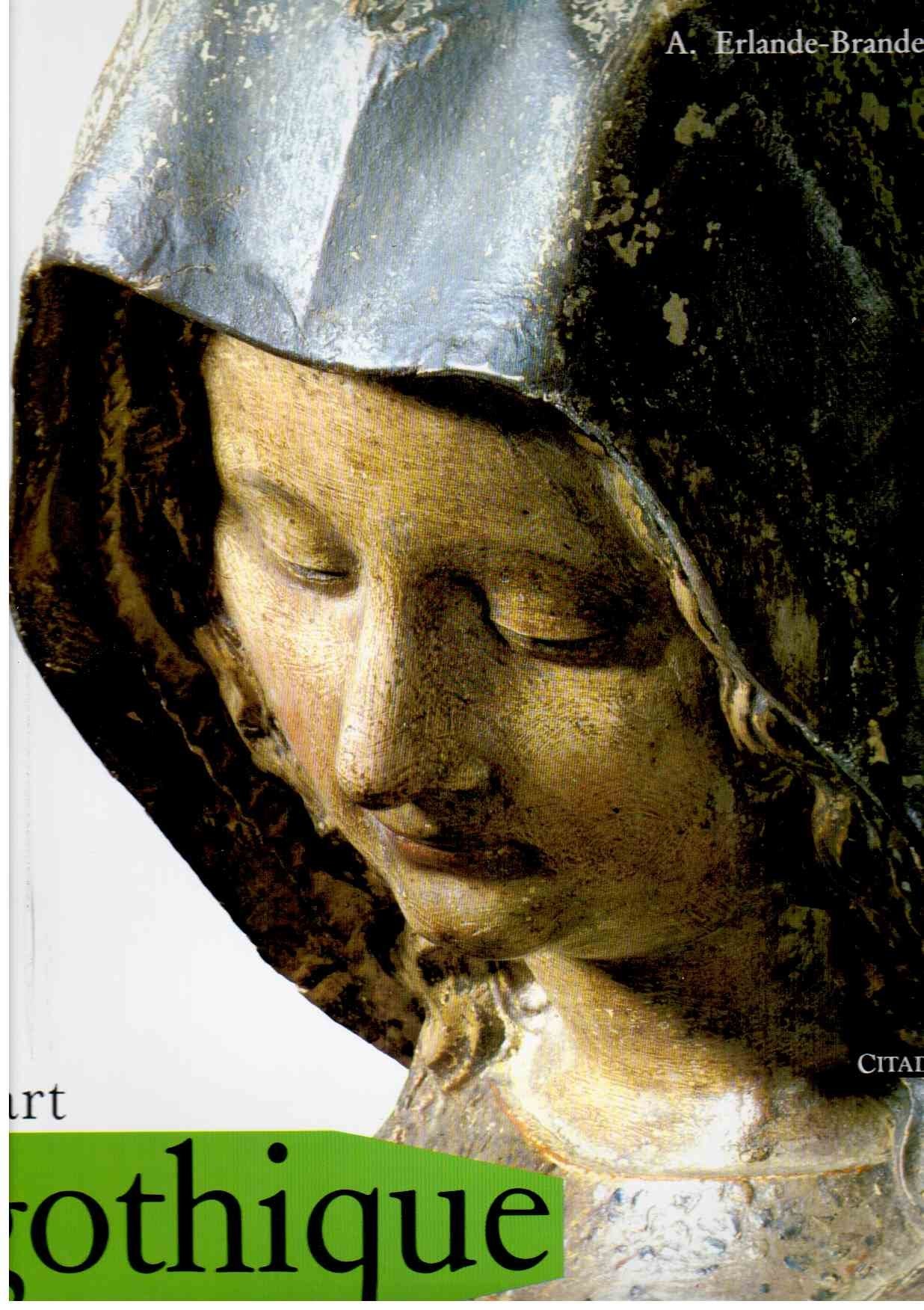 L'Art gothique 9782850880254