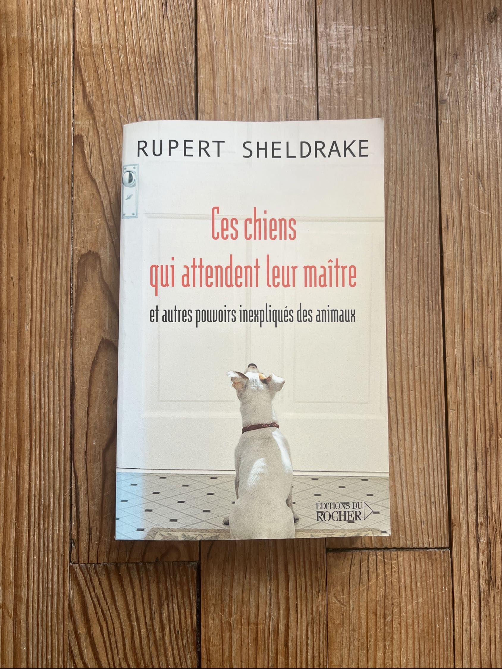 Ces chiens qui attendent leur maître et autres pouvoirs inexpliqués des animaux 9782268040943