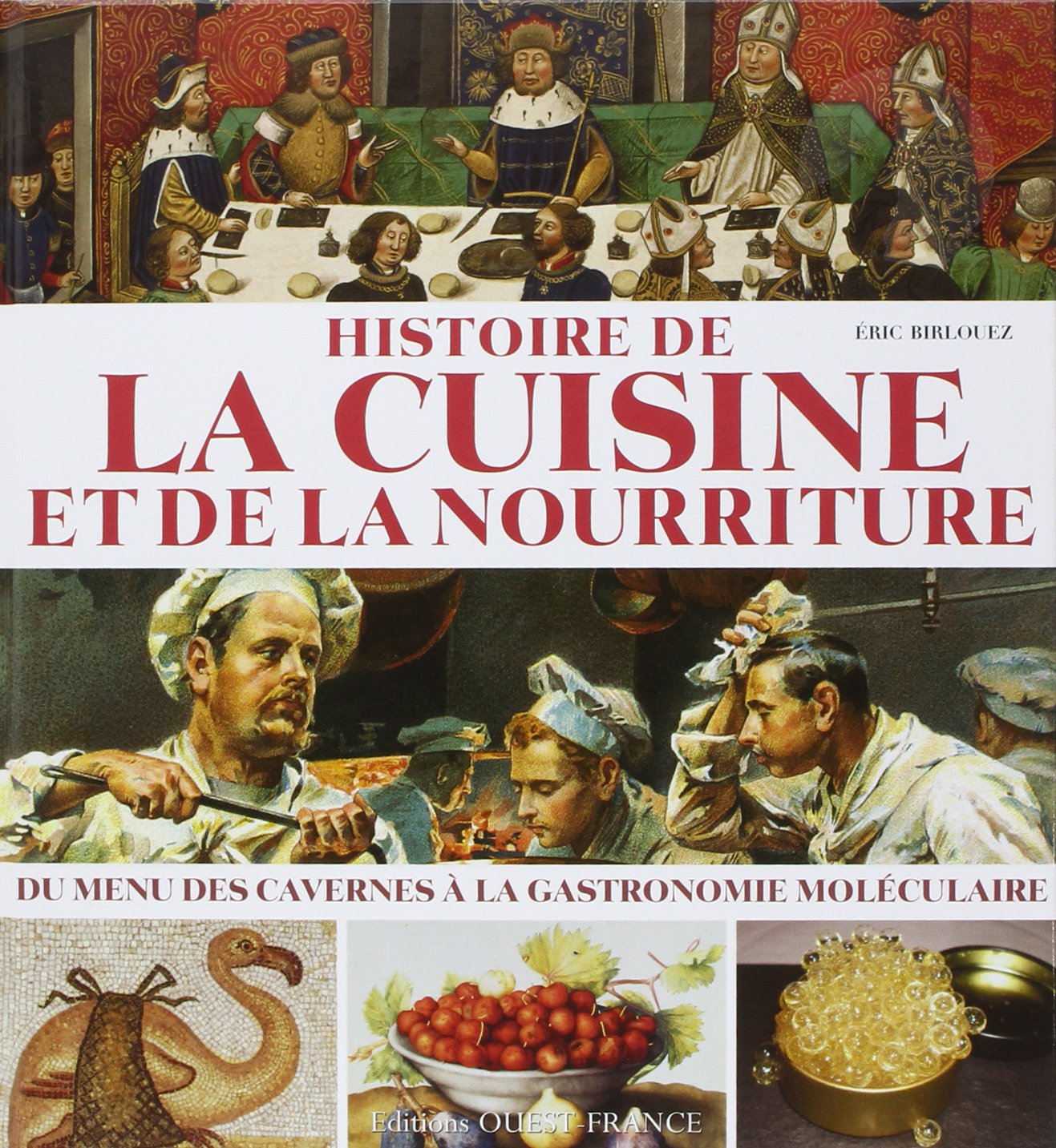 Histoire de la cuisine et de la nourriture 9782737353390