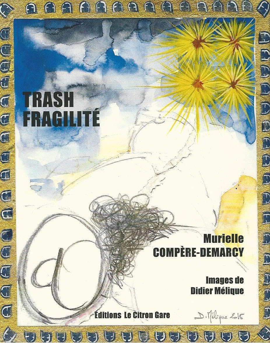 TRASH FRAGILITÉ 9782954383156