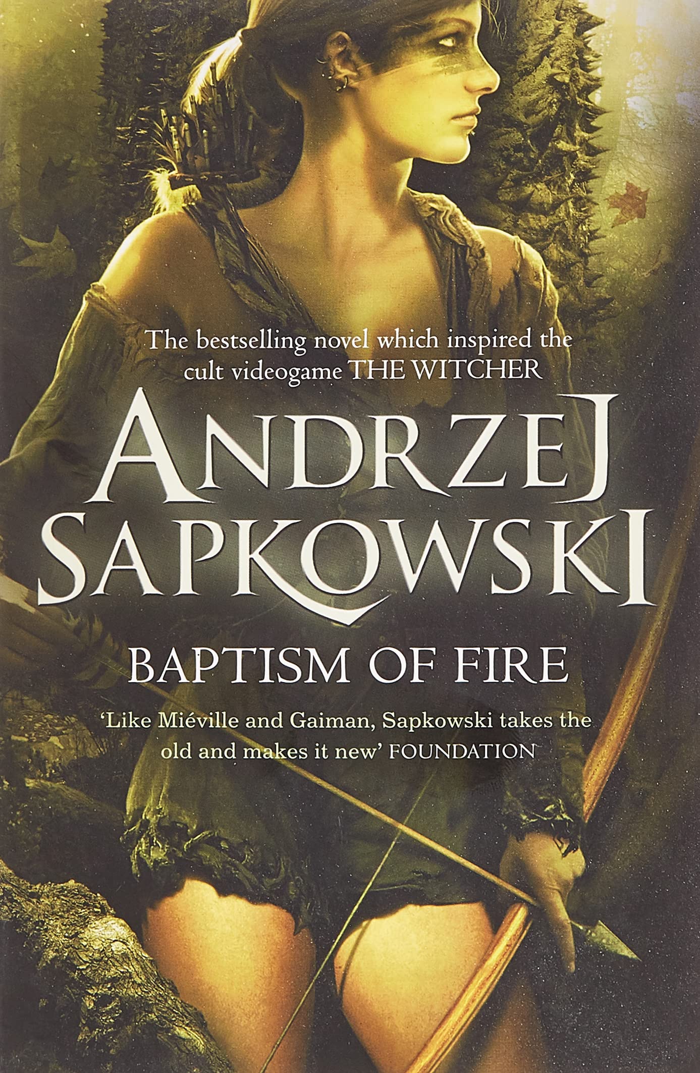 Baptism of Fire: Witcher 3 – Now a major Netflix show 9780575090972