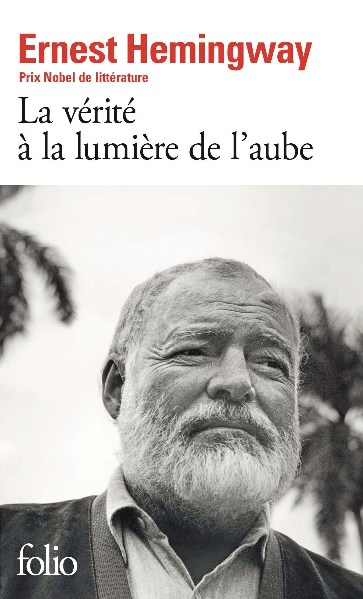 La Vérité à la lumière de l'aube 9782070420360