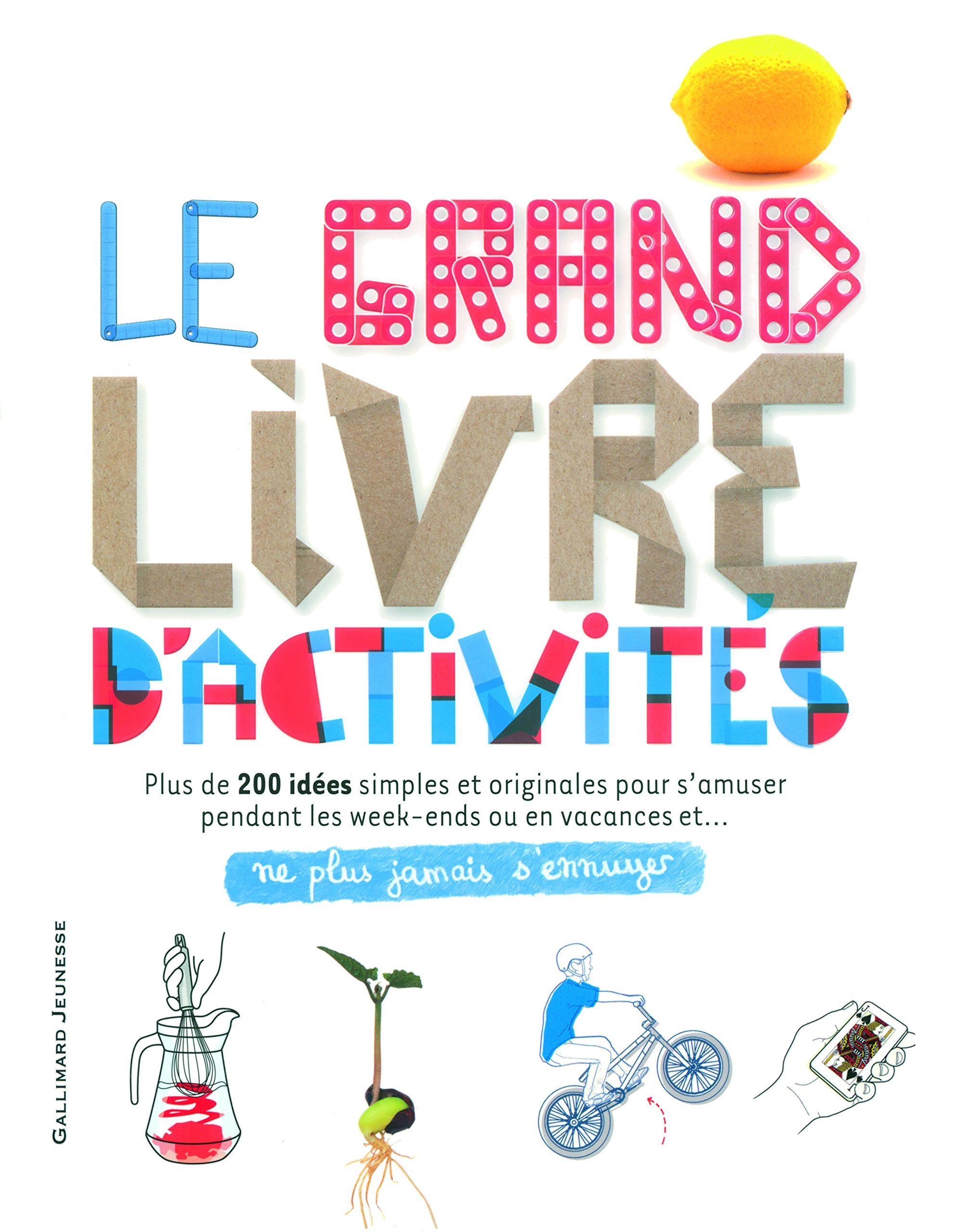 LE GRAND LIVRE D'ACTIVITES 9782070635115