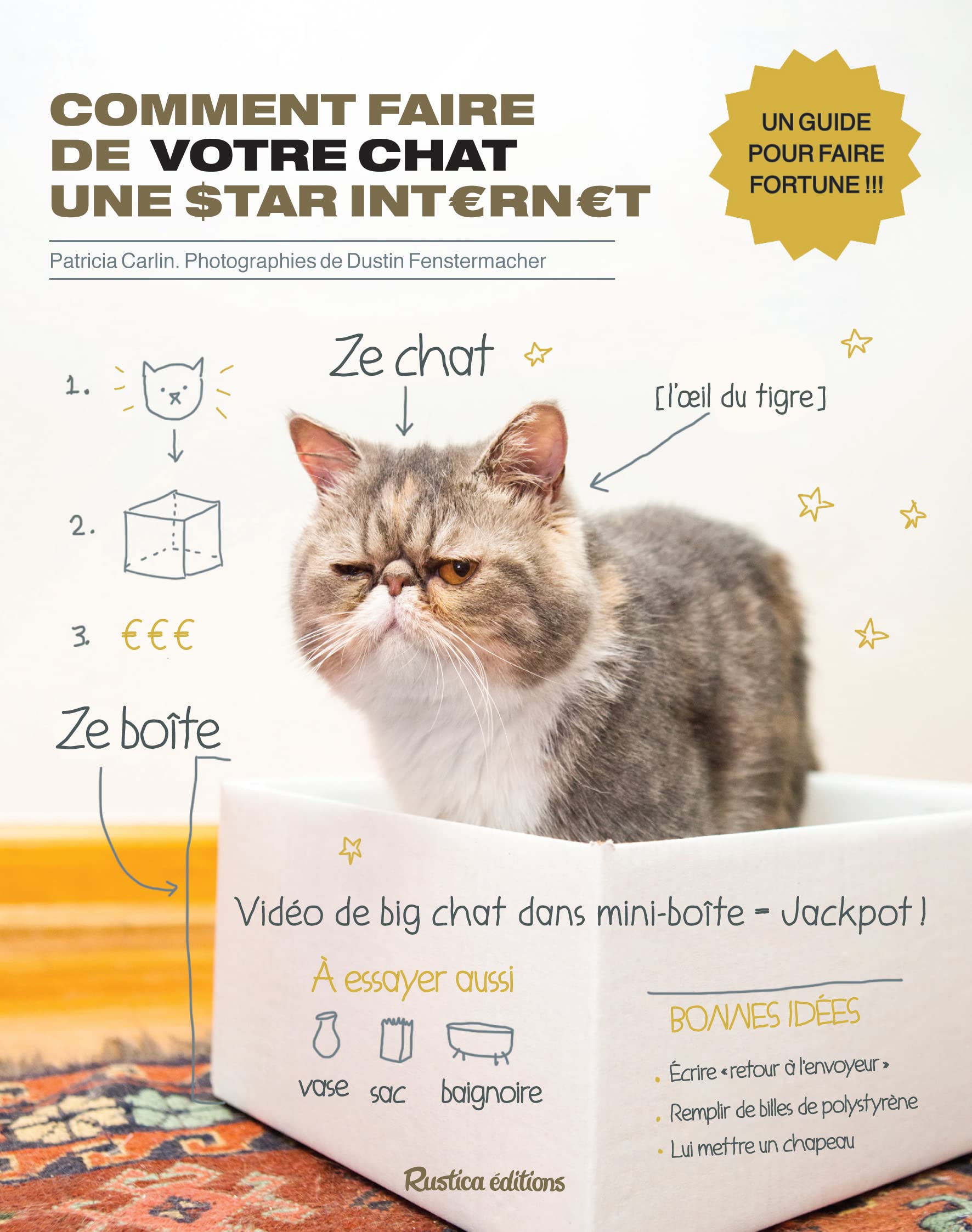 Comment faire de votre chat une star internet 9782815305761