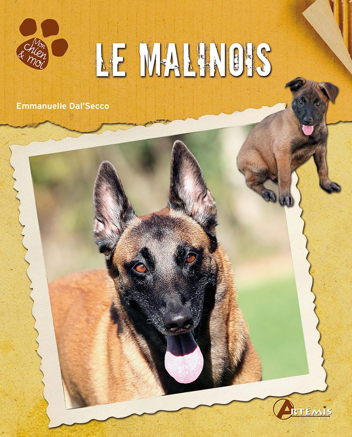 Le malinois 9782816002508