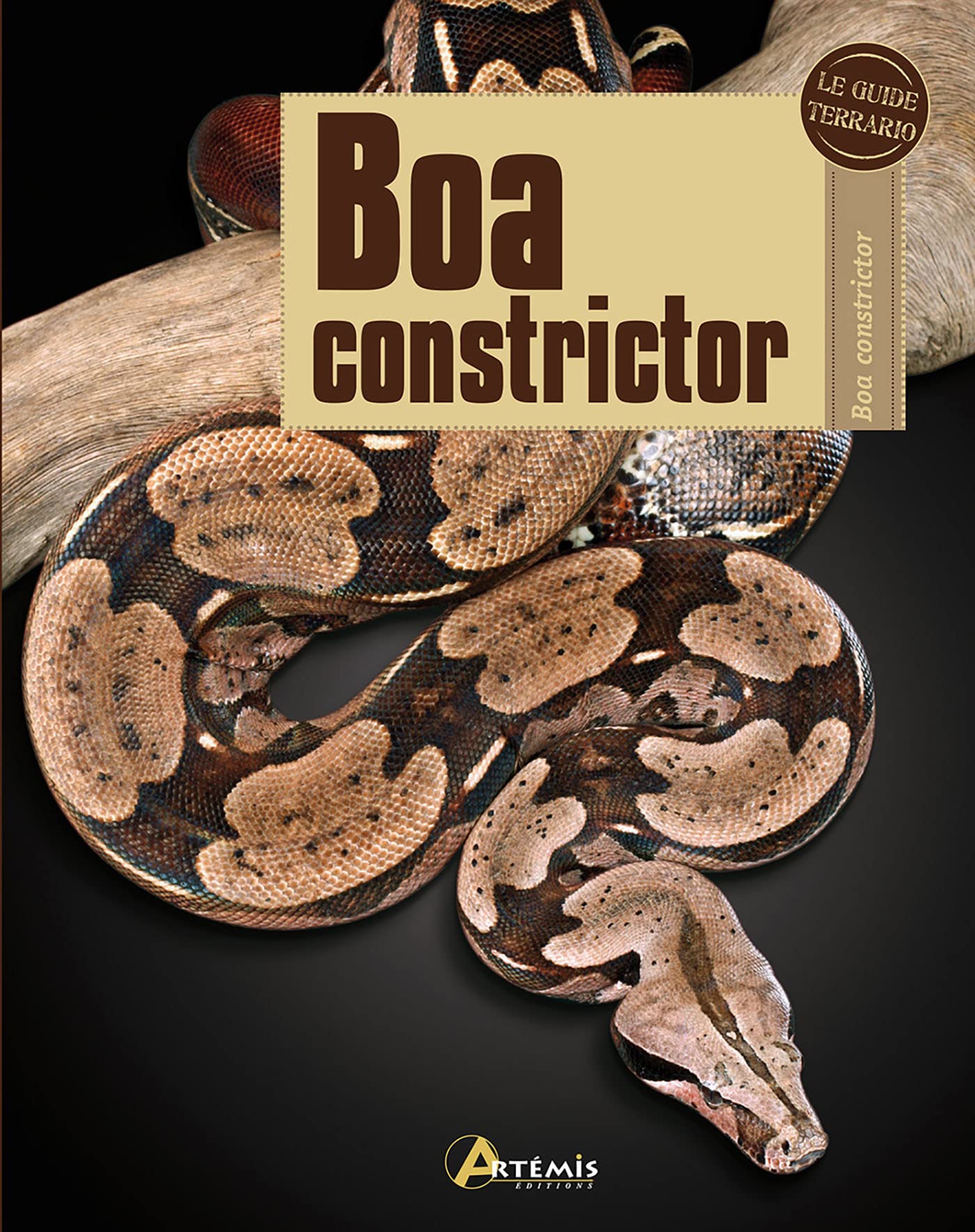 Boa constrictor 9782816002553