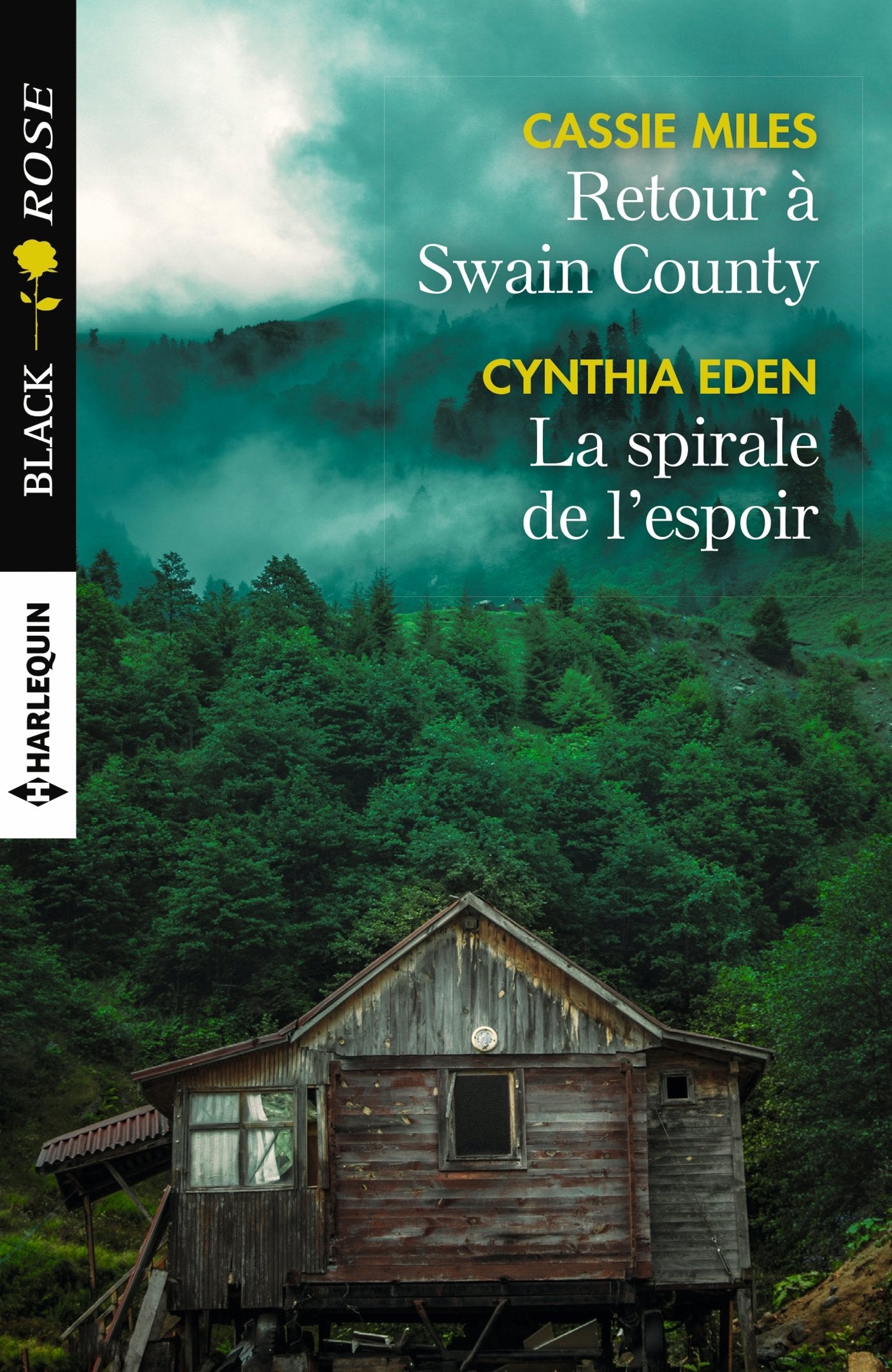 Retour à Swain County - La spirale de l'espoir 9782280363181
