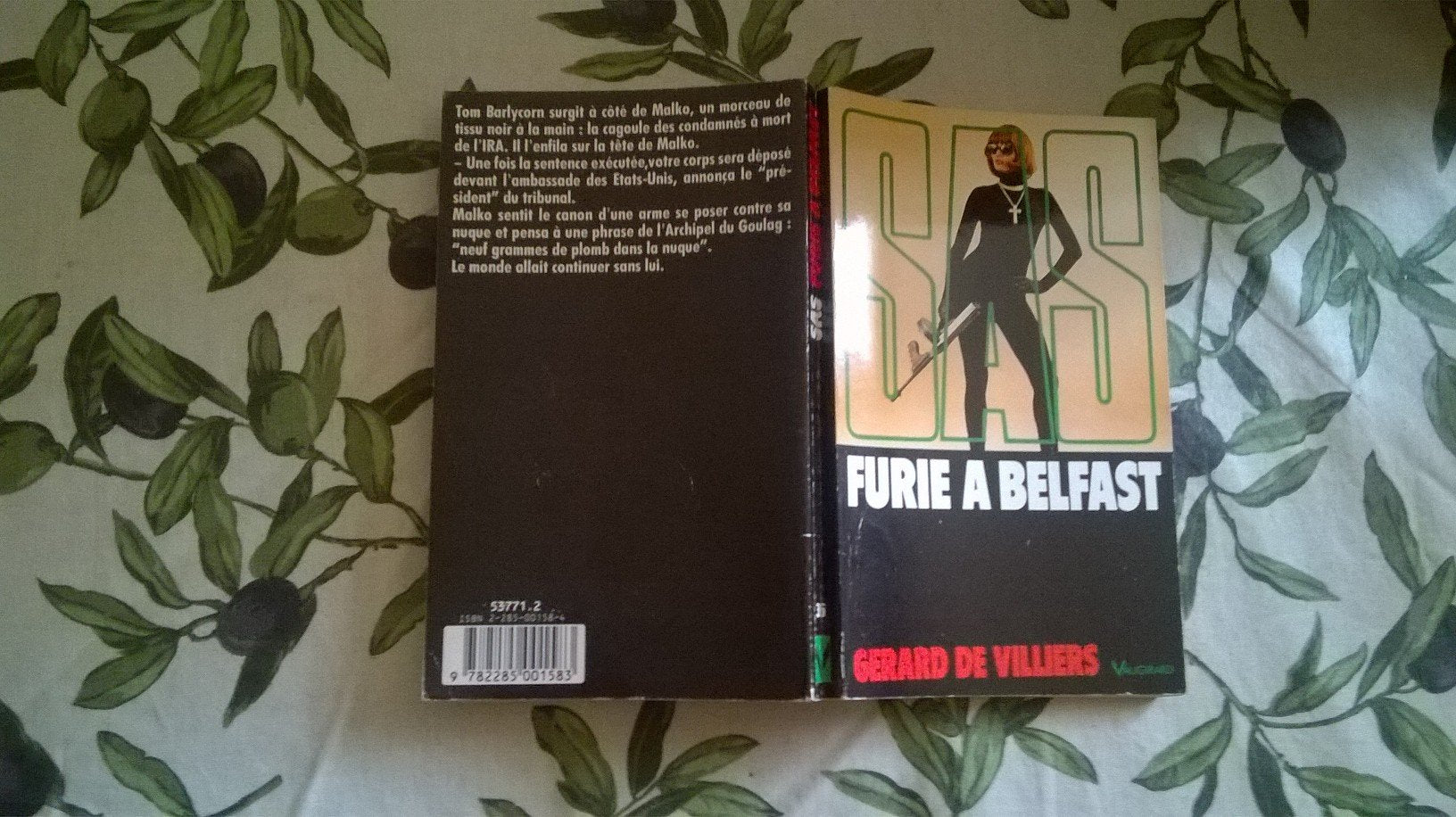 Furie a belfast 9782285001583