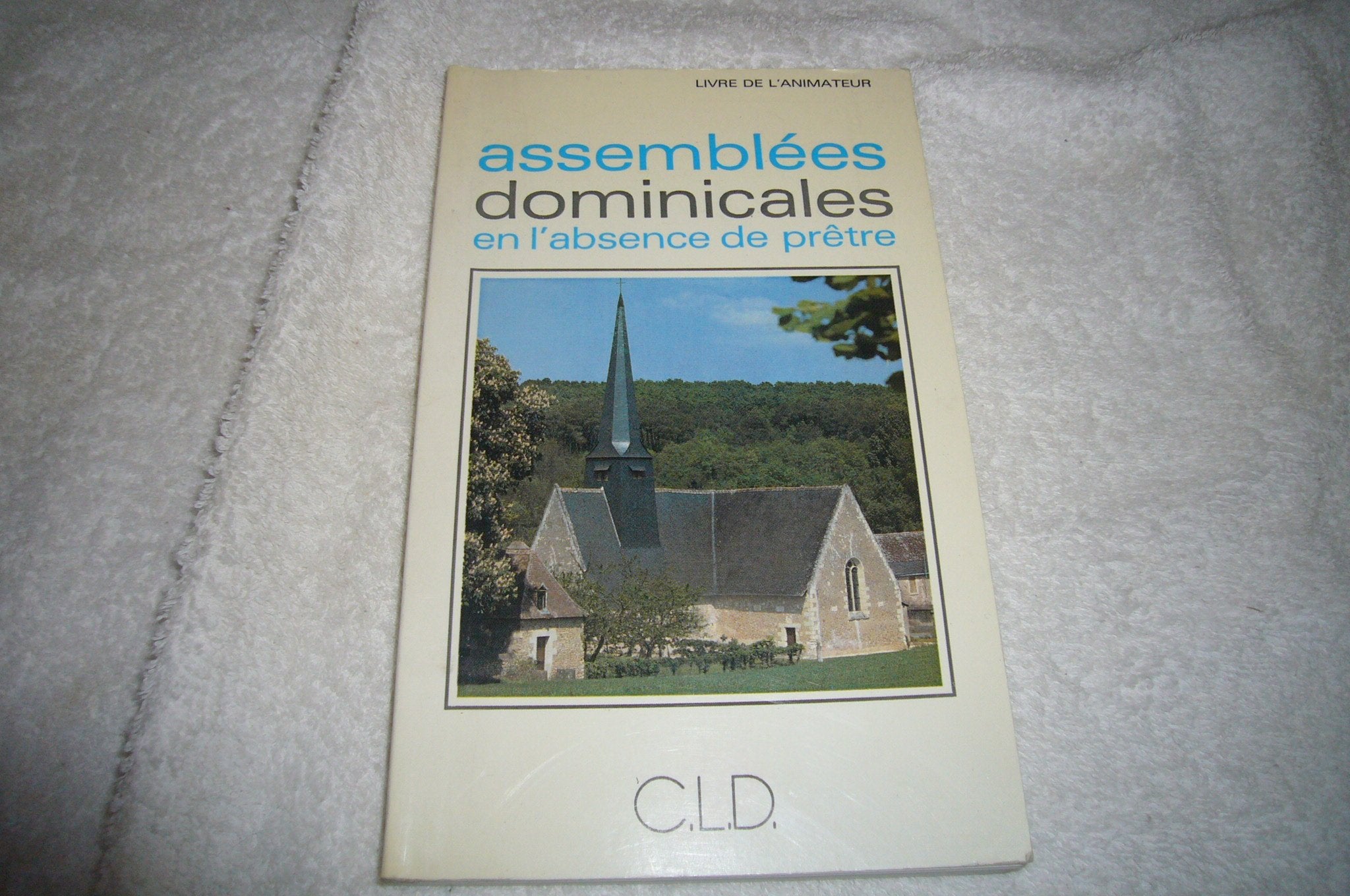 assemblees dominicales en l'absense de pretre (0) 9782854431629