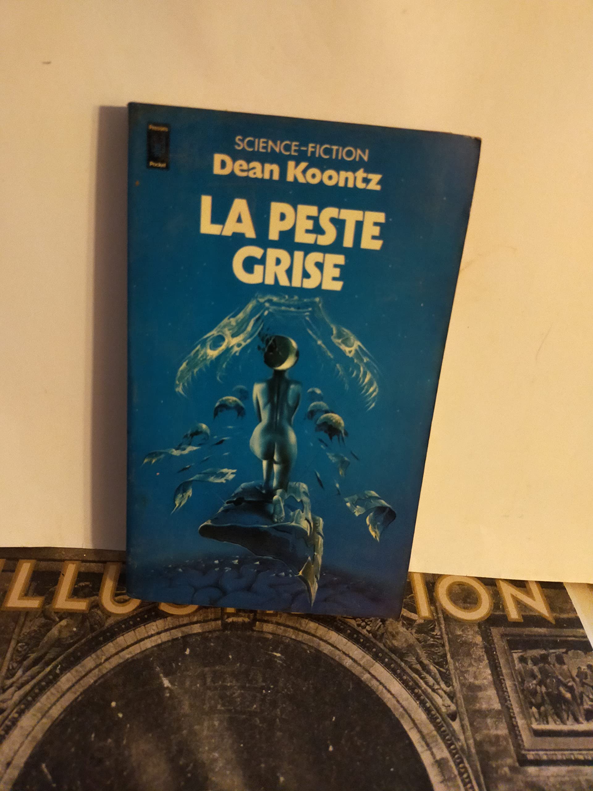 La Peste grise (Presses pocket) 9788449925436