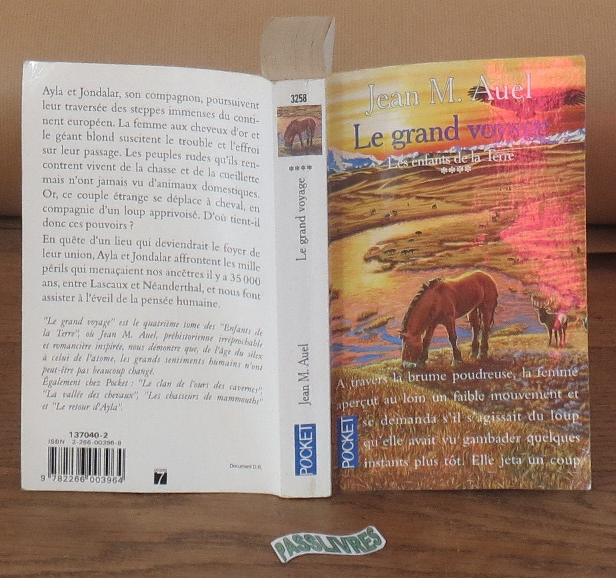 Les Enfants de la terre, tome 4 : Le Grand Voyage 9782266003964