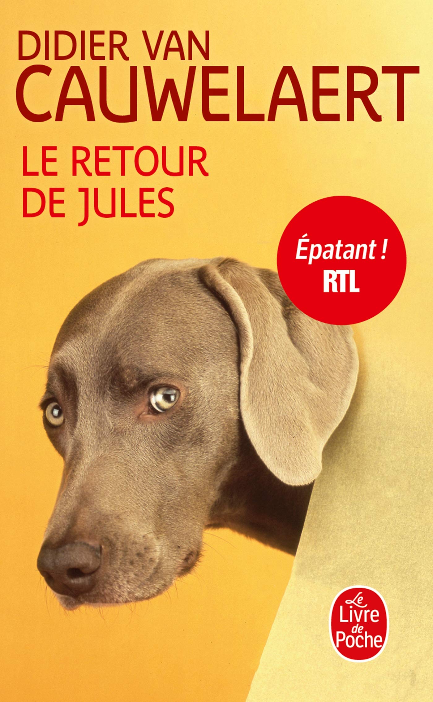 Le Retour de Jules 9782253237884