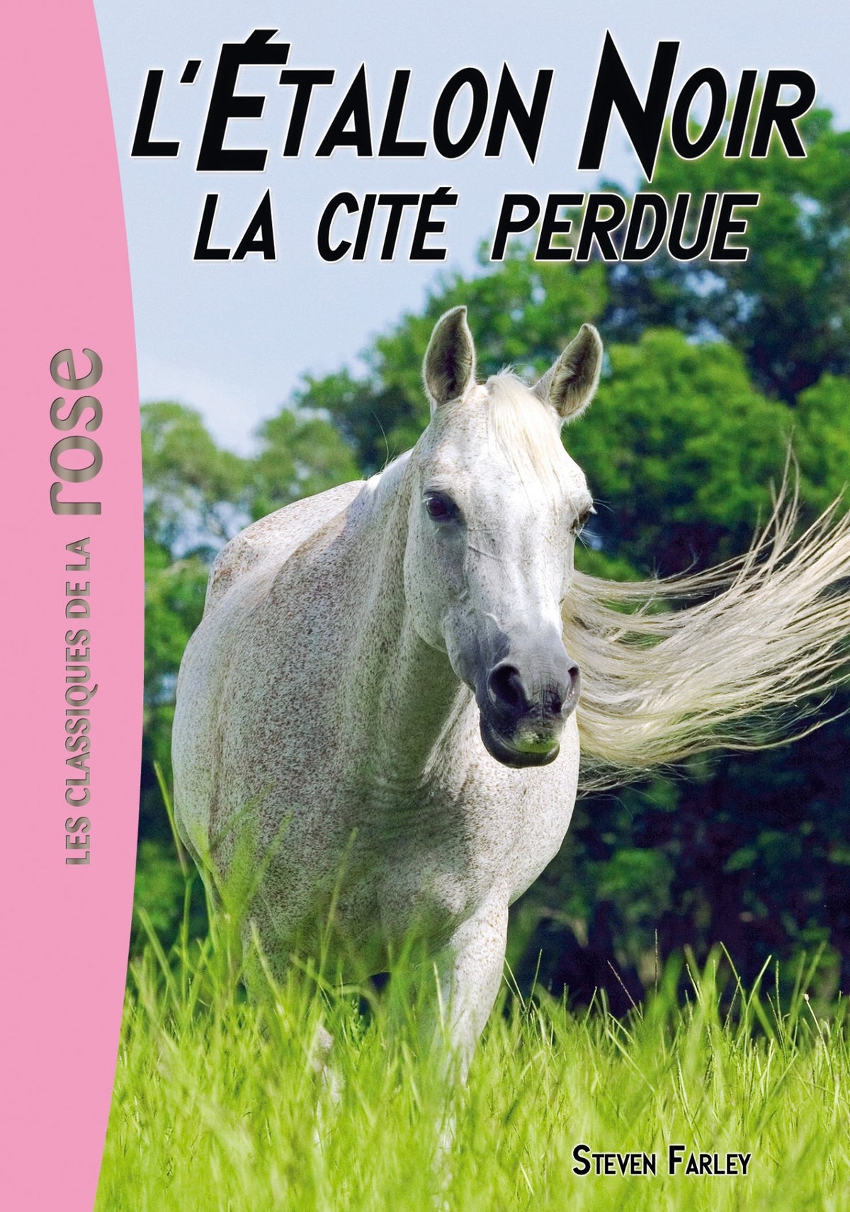 L'Étalon Noir 20 - La cité perdue 9782017004189