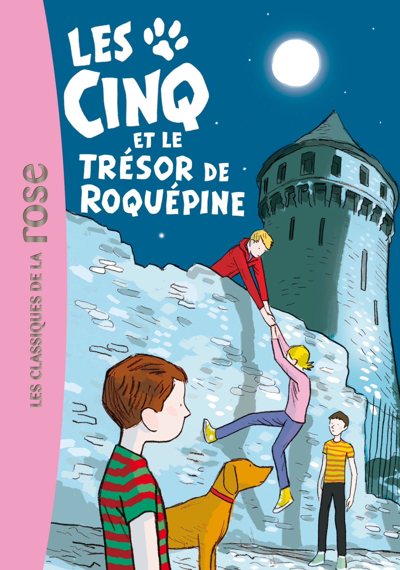 Les Cinq 36 - Les Cinq et le trésor de Roquépine 9782012044166