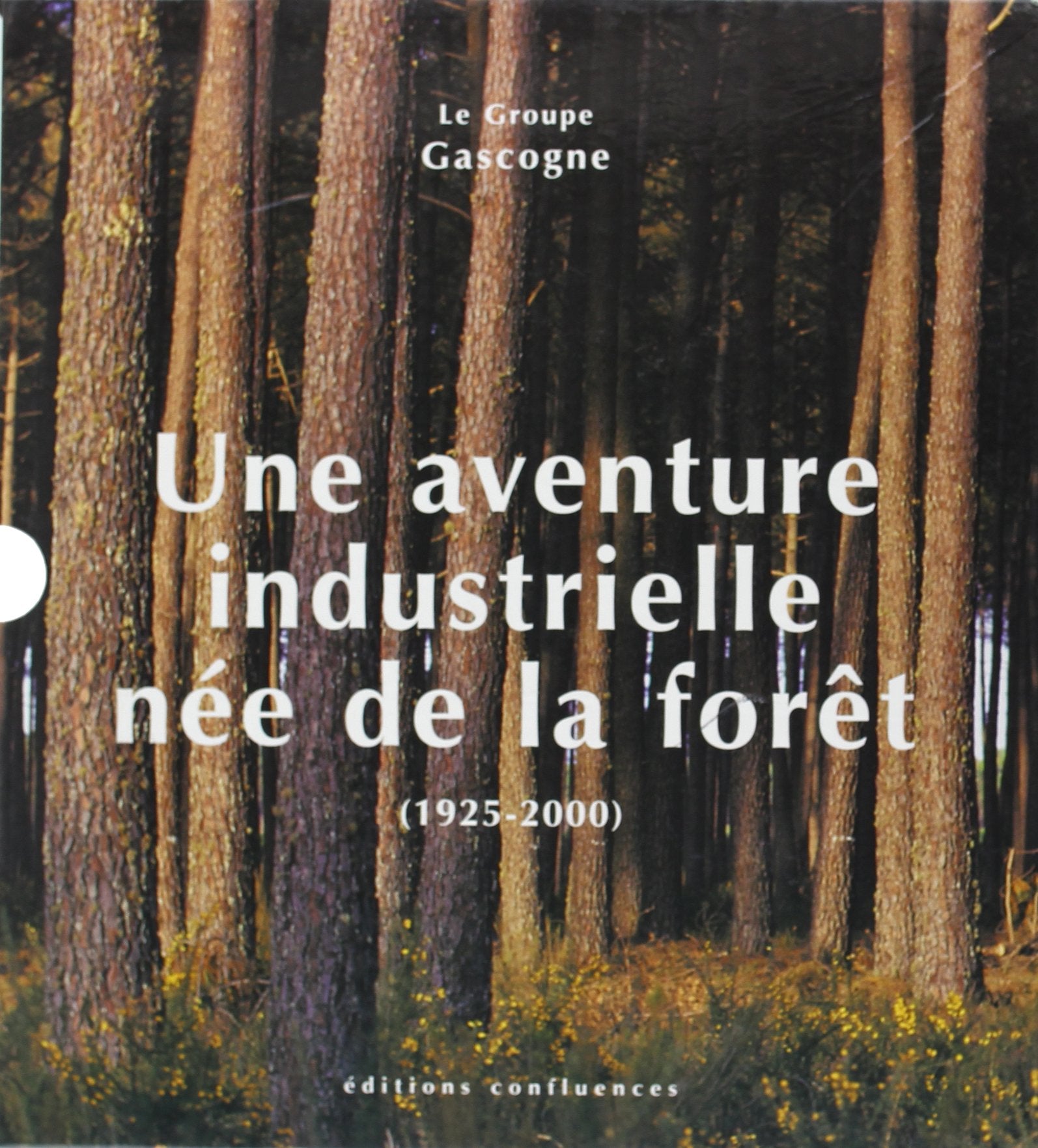 Une aventure industrielle née de la forêt - le Groupe Gascogne, 1925-2000 9782910550950