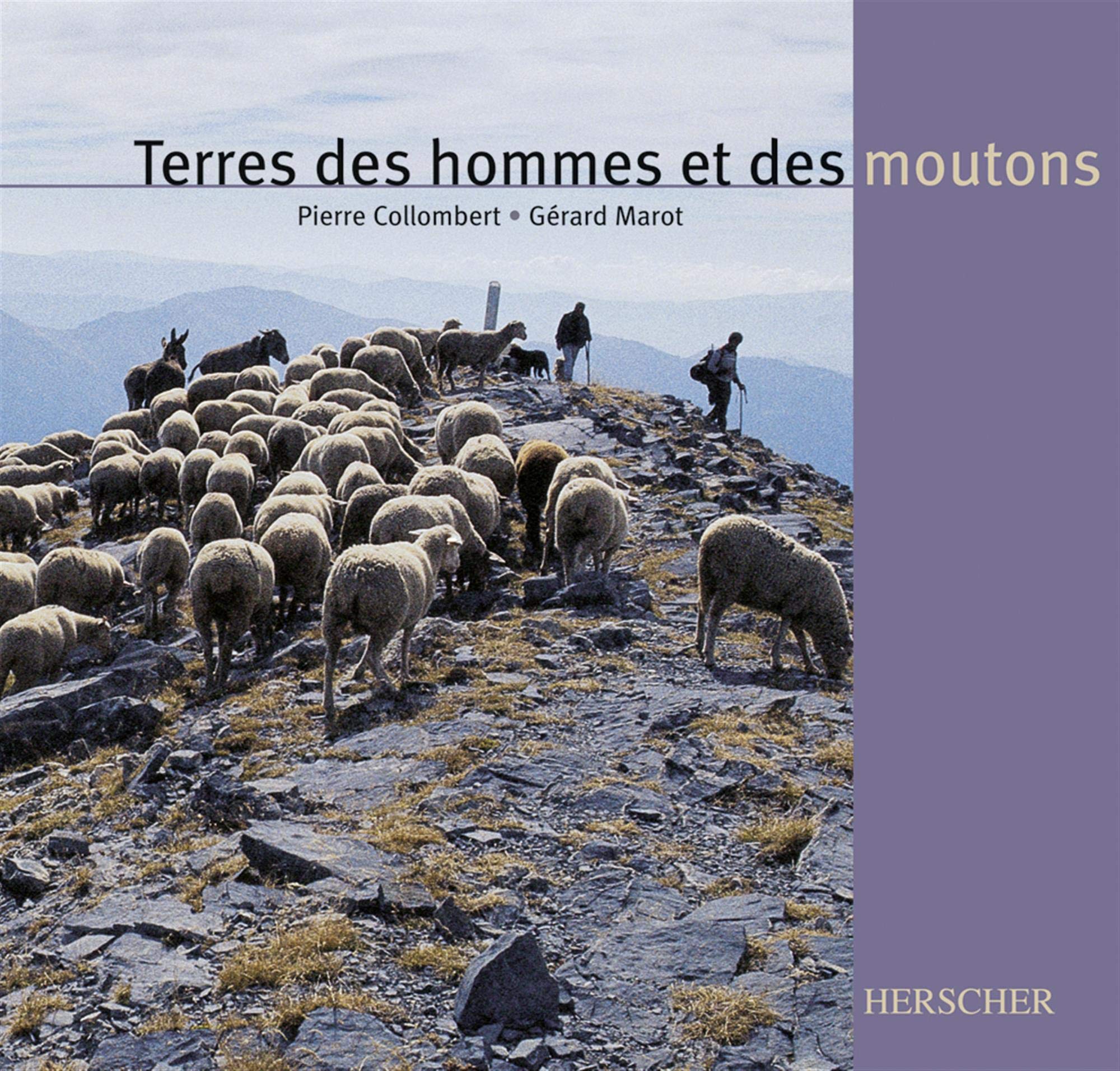 Terre, Hommes et Moutons 9782733503058