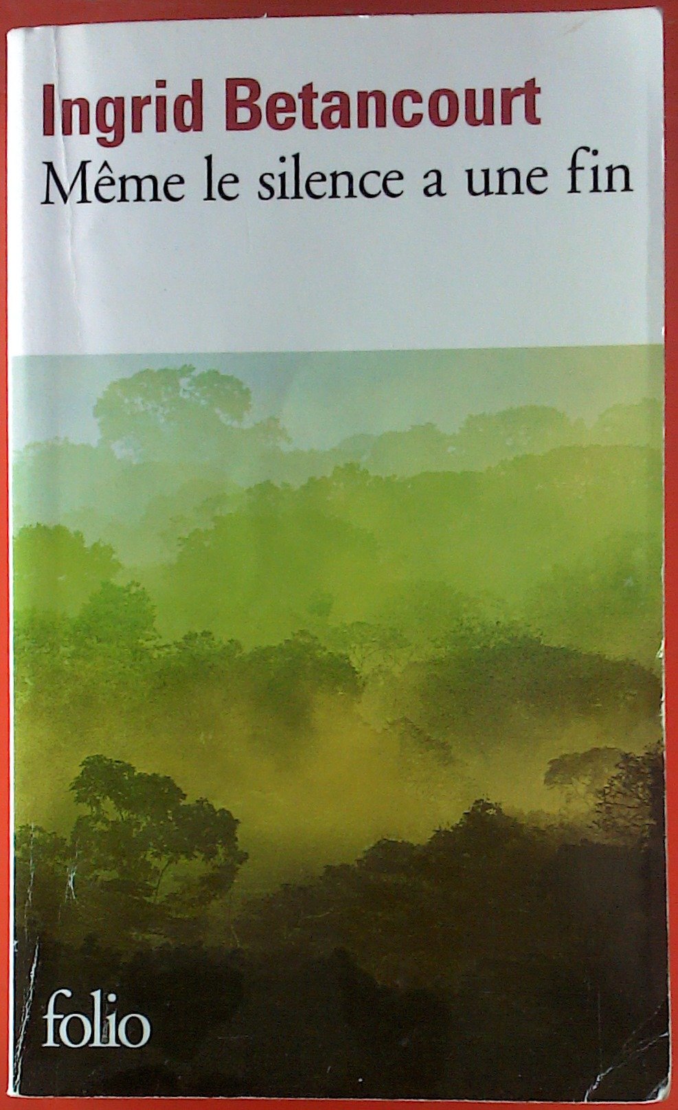 Même le silence a une fin 9782286069087