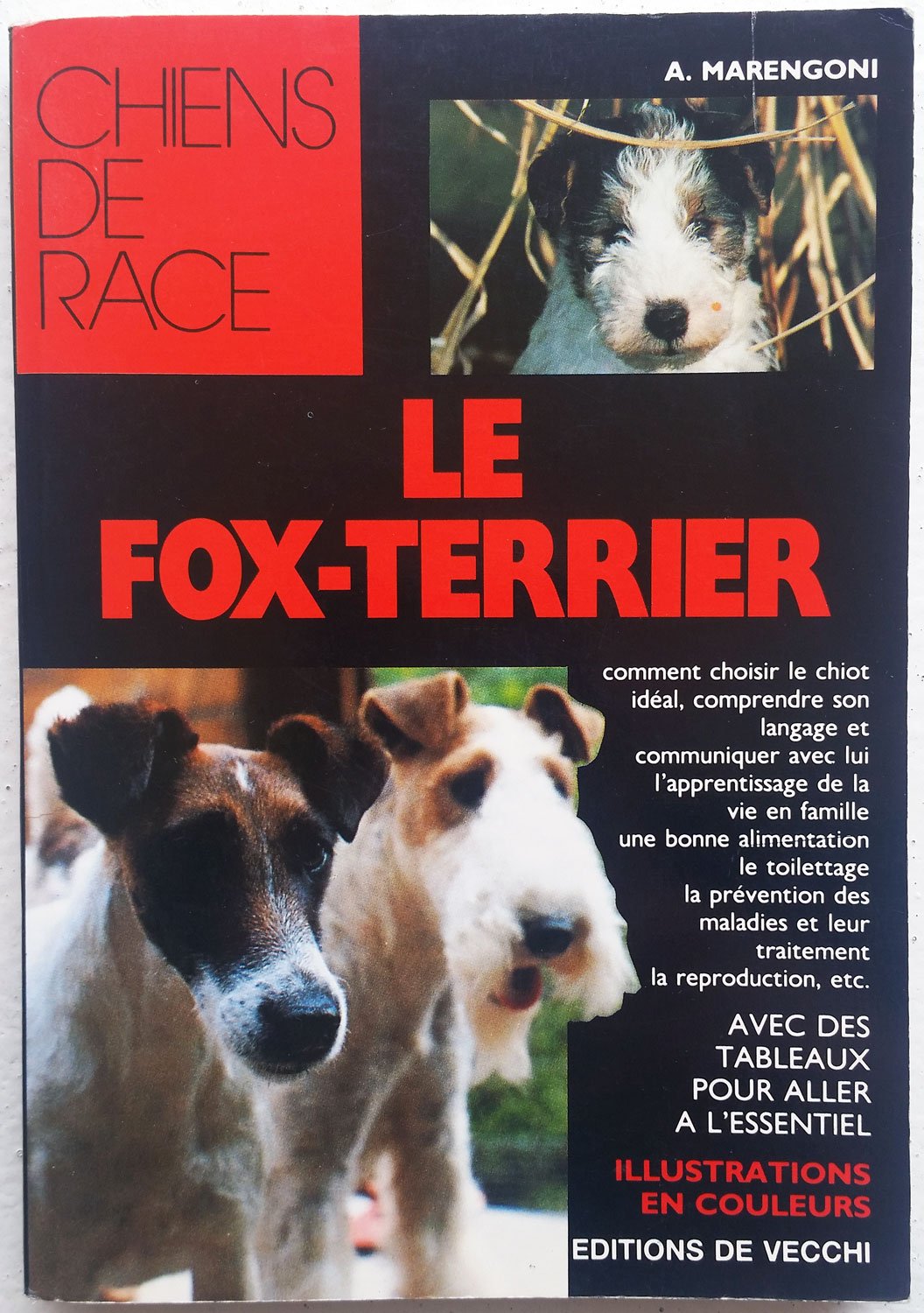 Le Fox-terrier 9782732821054