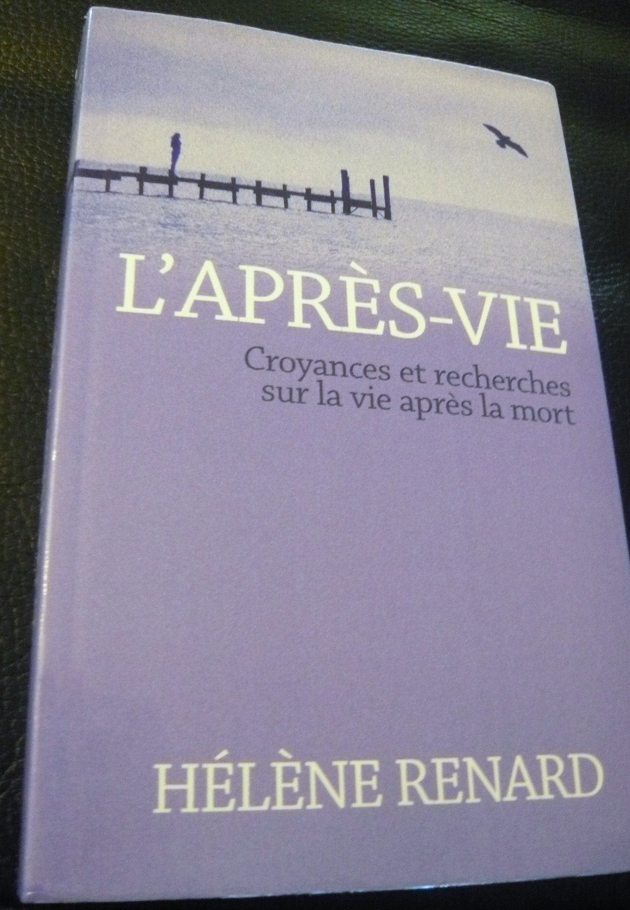 L'après vie , croyances et recherches sur la vie après la mort 9782298000207