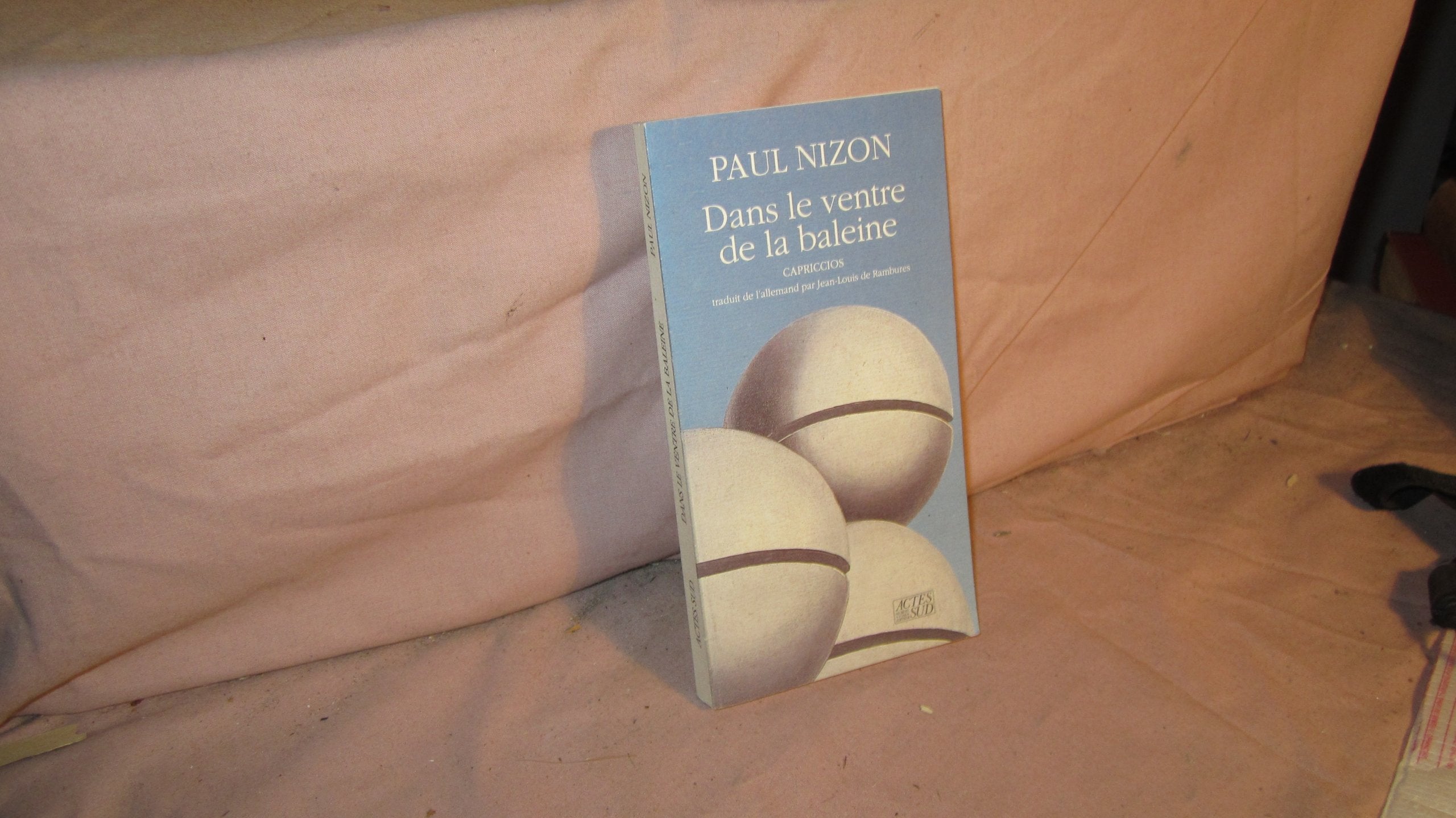 Dans le ventre de la baleine 9782868695734