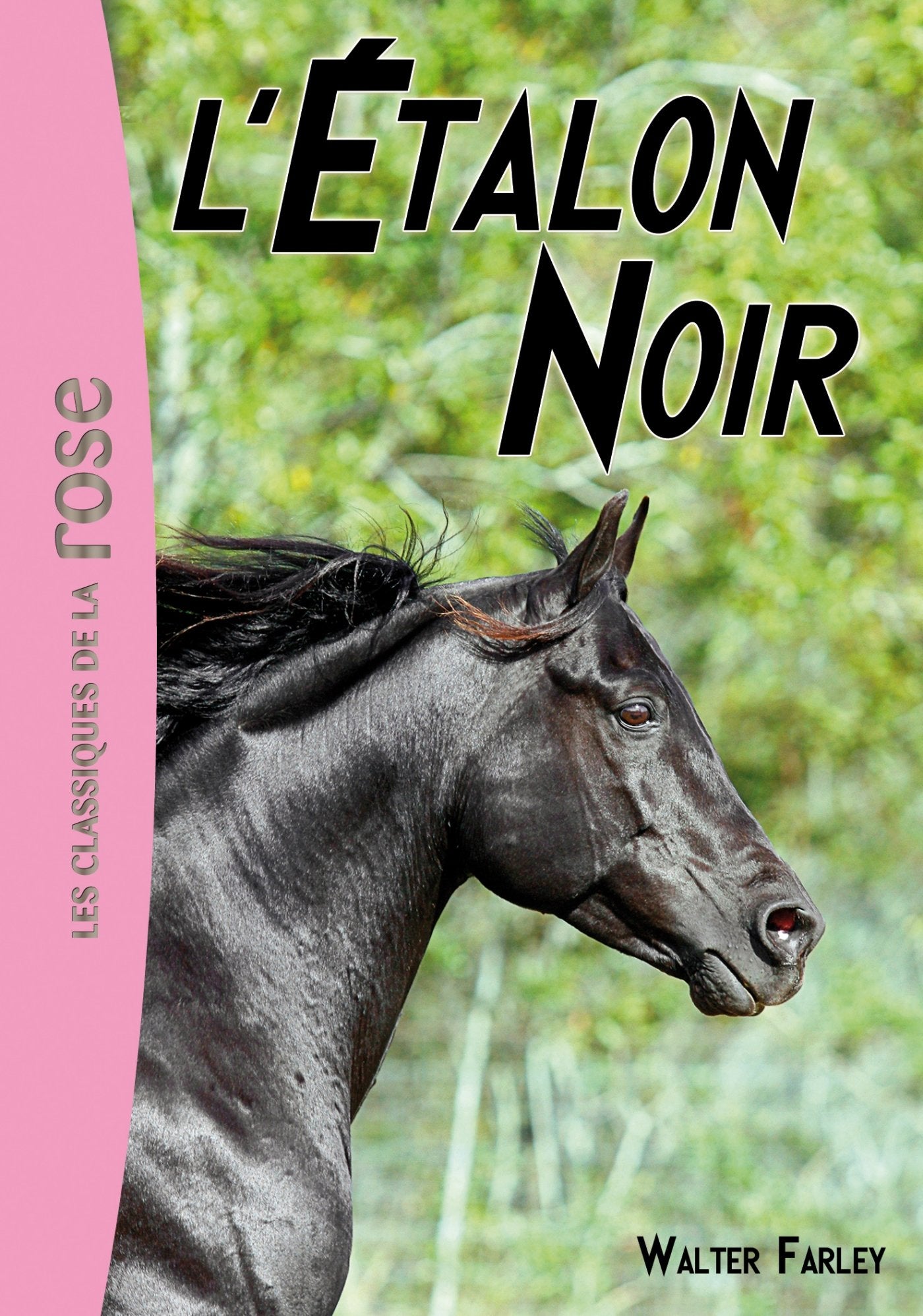 L'Étalon Noir 01 - L'Étalon Noir 9782012020184