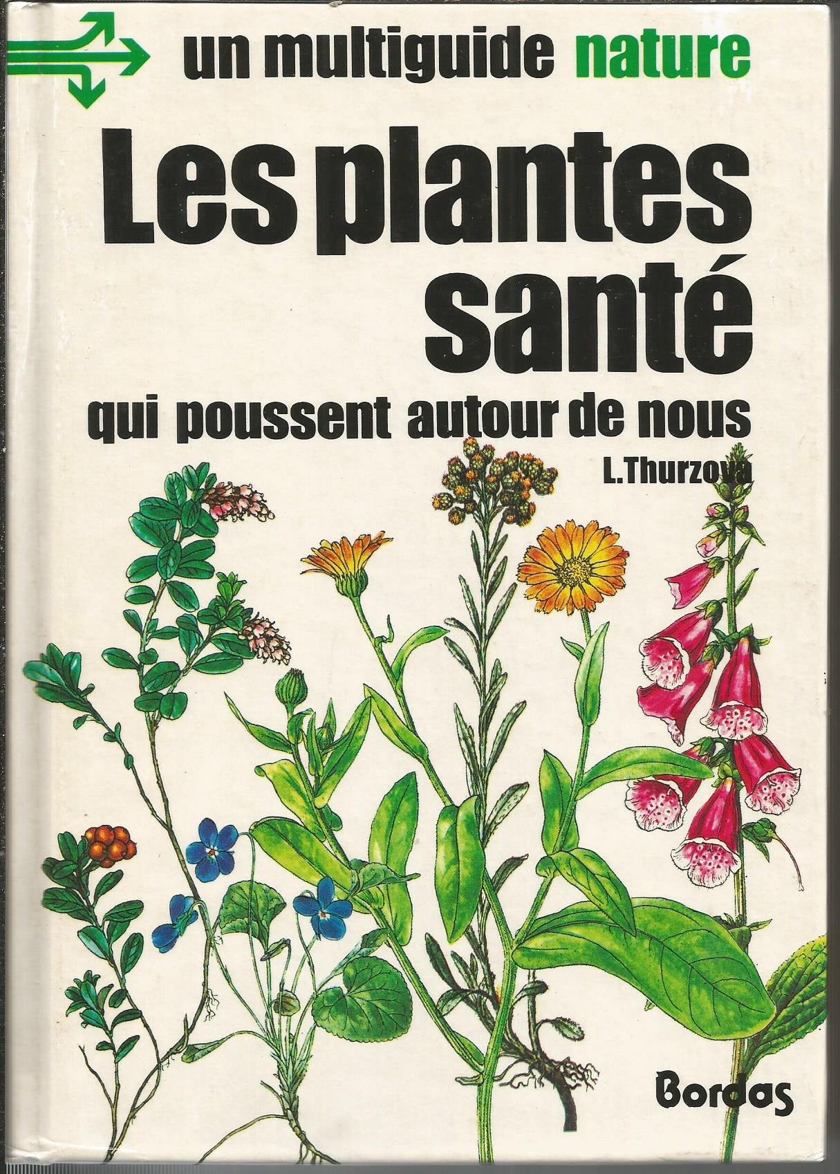 Les Plantes Santé qui poussent autour de nous 9782040126377
