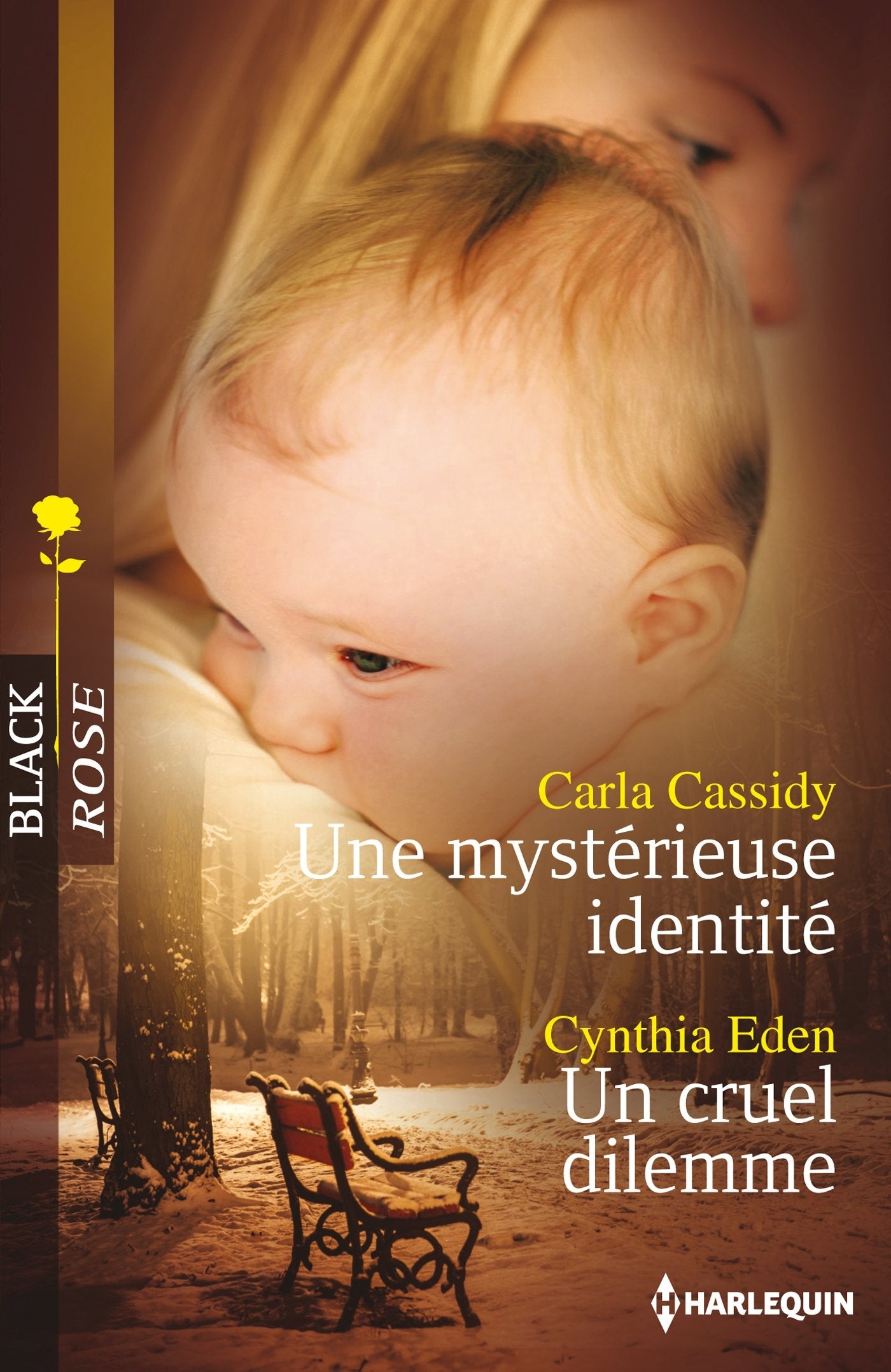 Une mystérieuse identité ; Un cruel dilemme 9782280308137