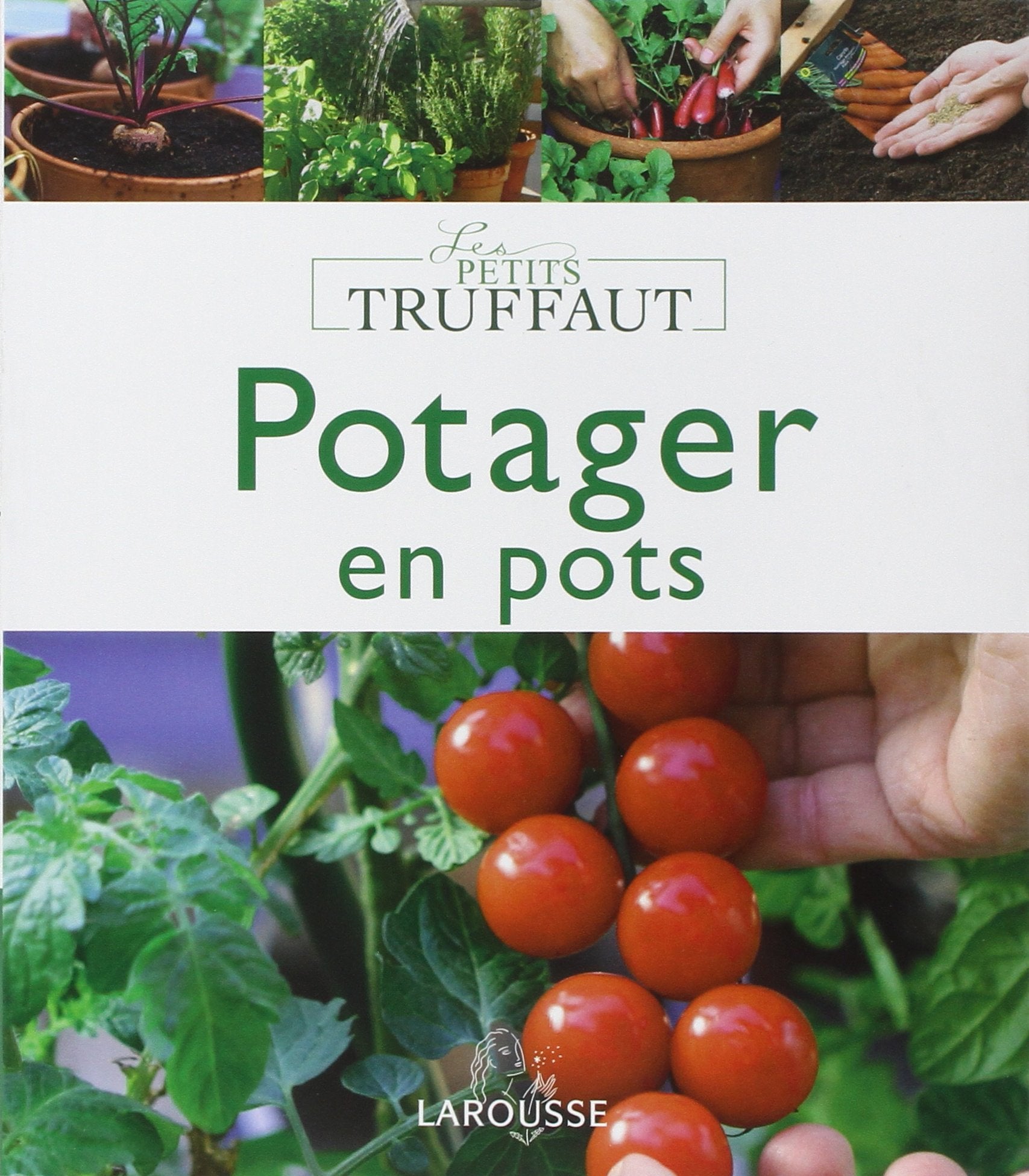 Potager en pots 9782035856869