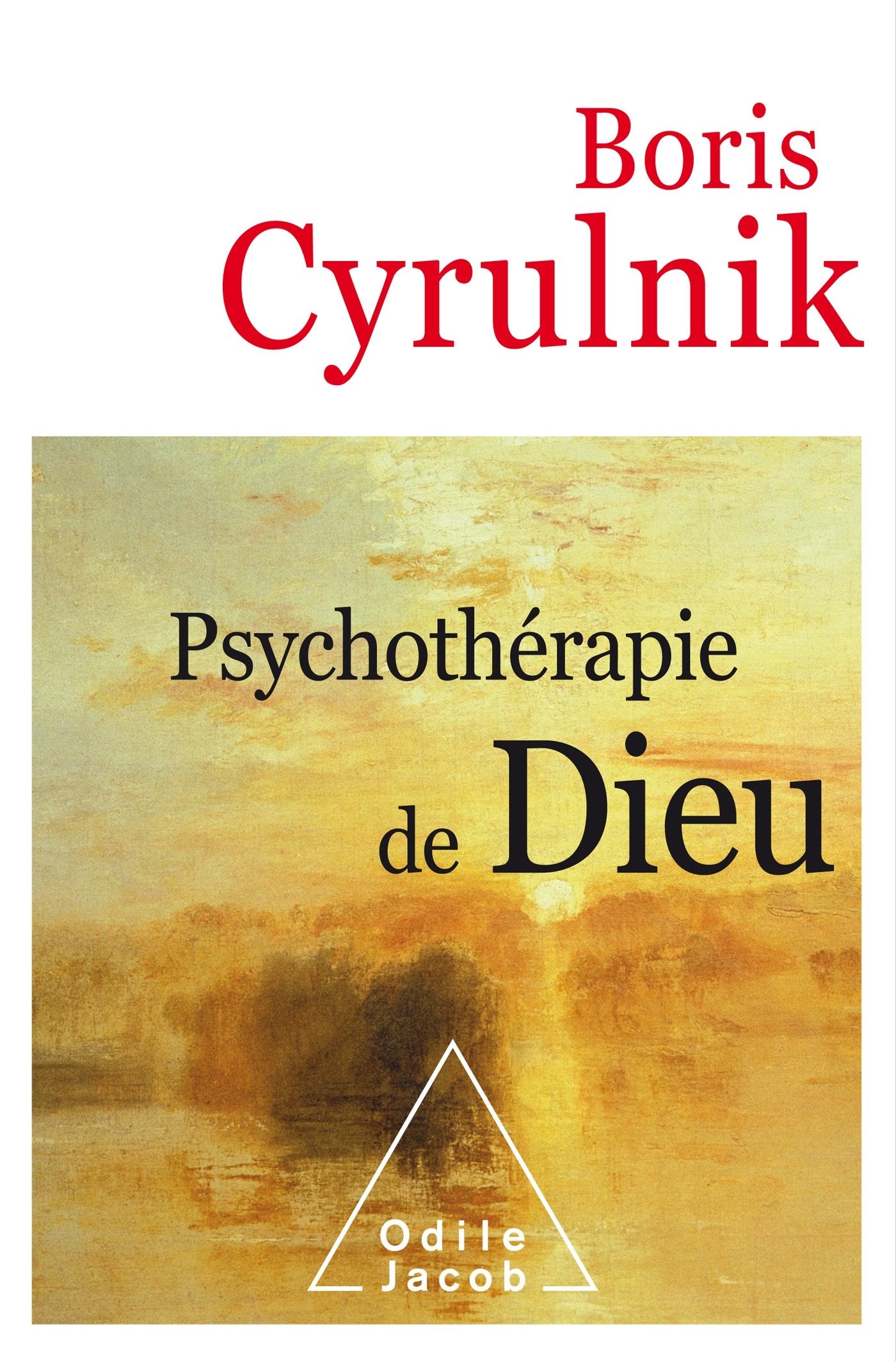 Psychothérapie de Dieu 9782738138873