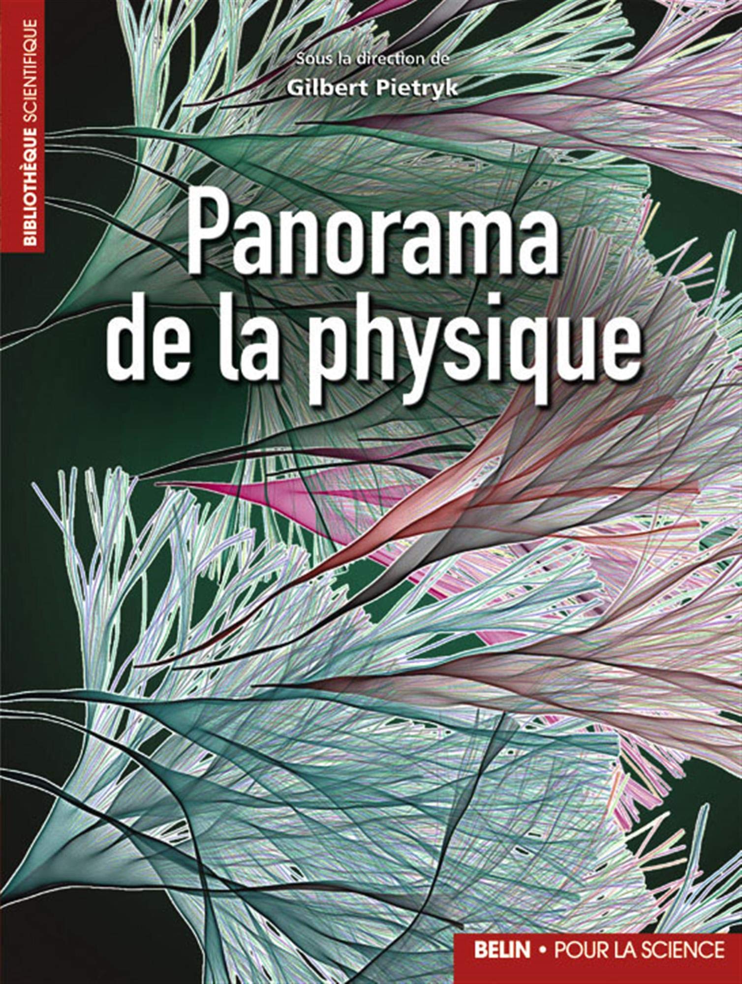 Panorama de la physique 9782701139722