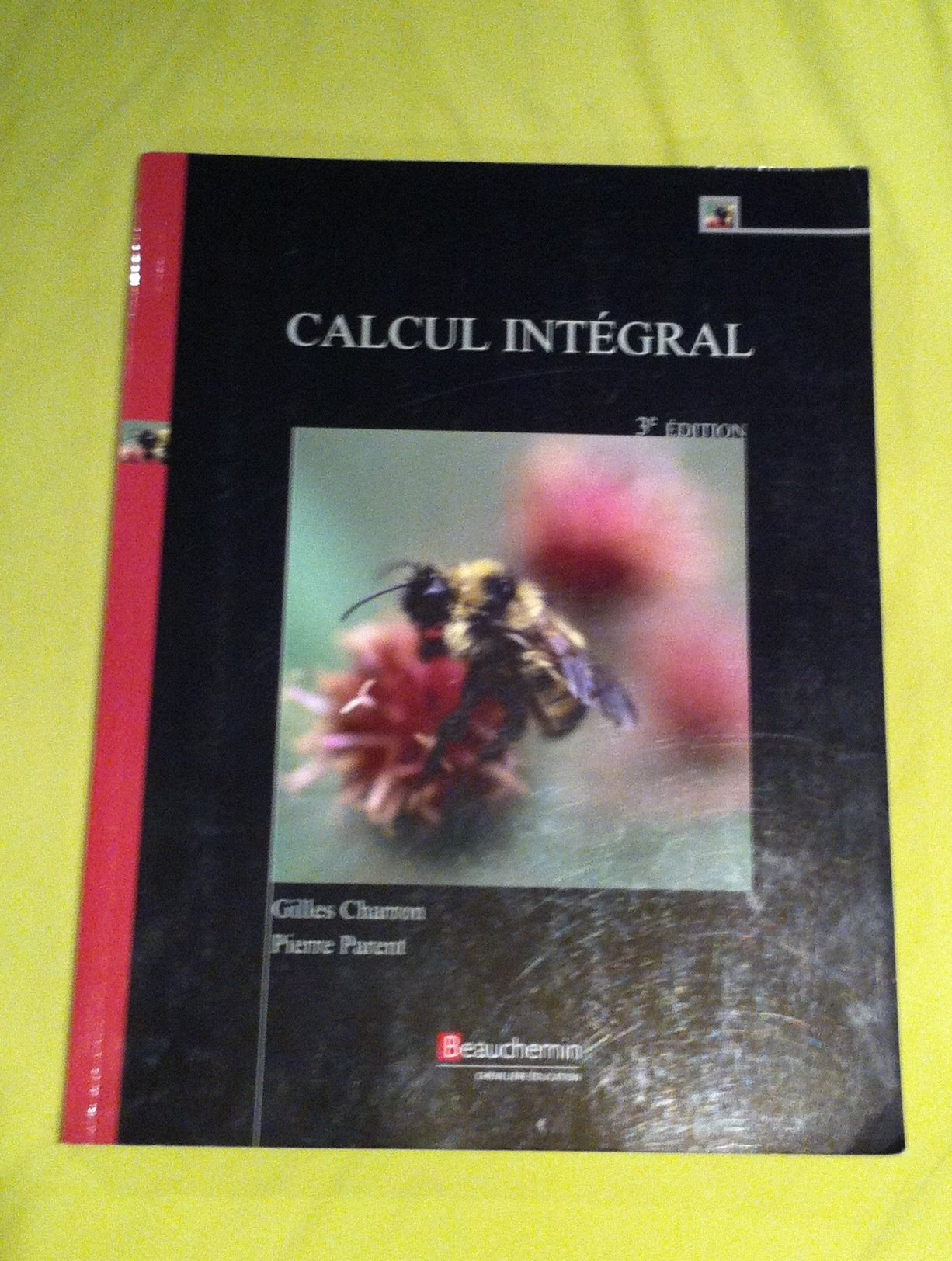 Calcul intégral 9782761619868