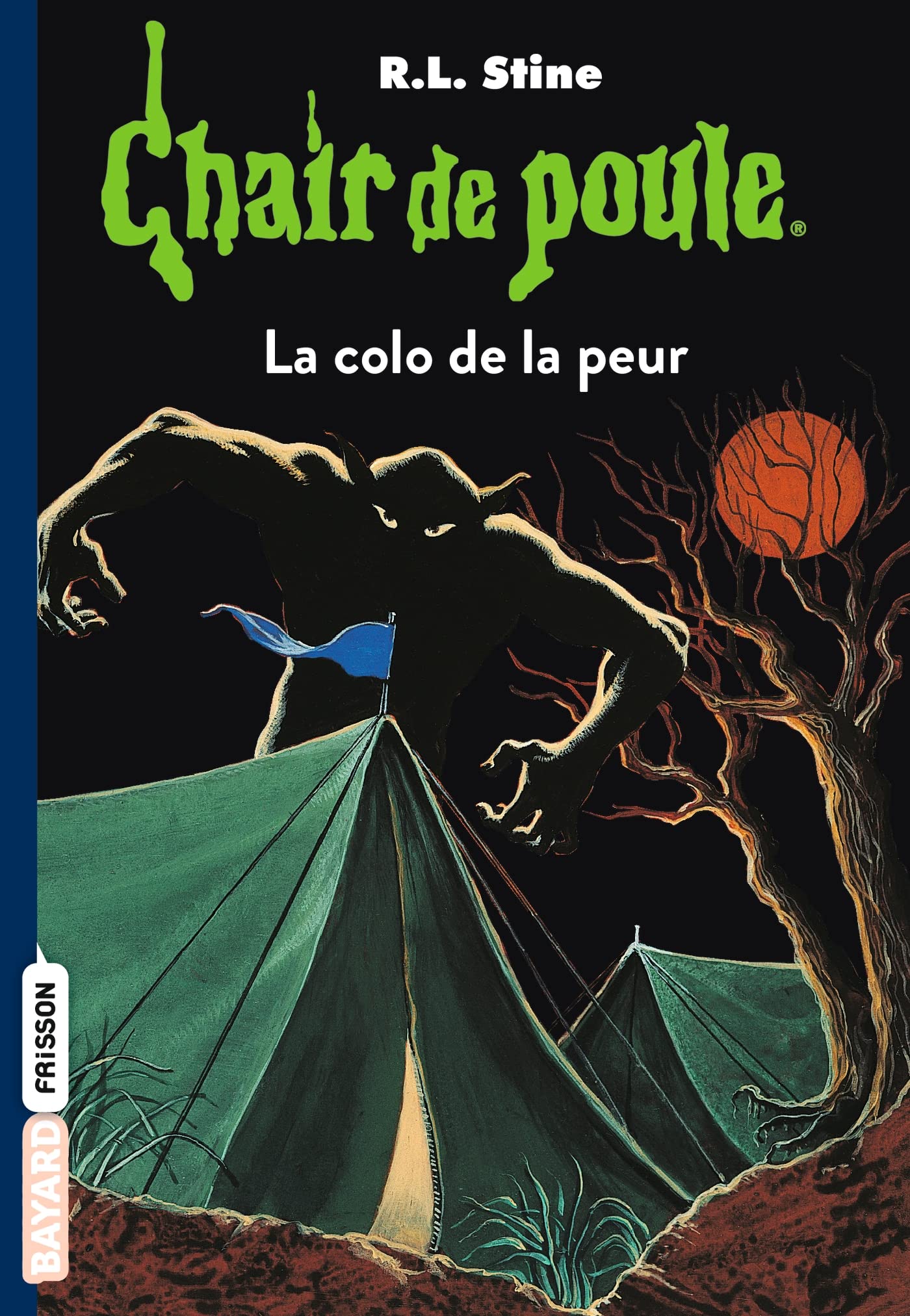 Chair de poule , Tome 10: La colo de la peur 9782747032988