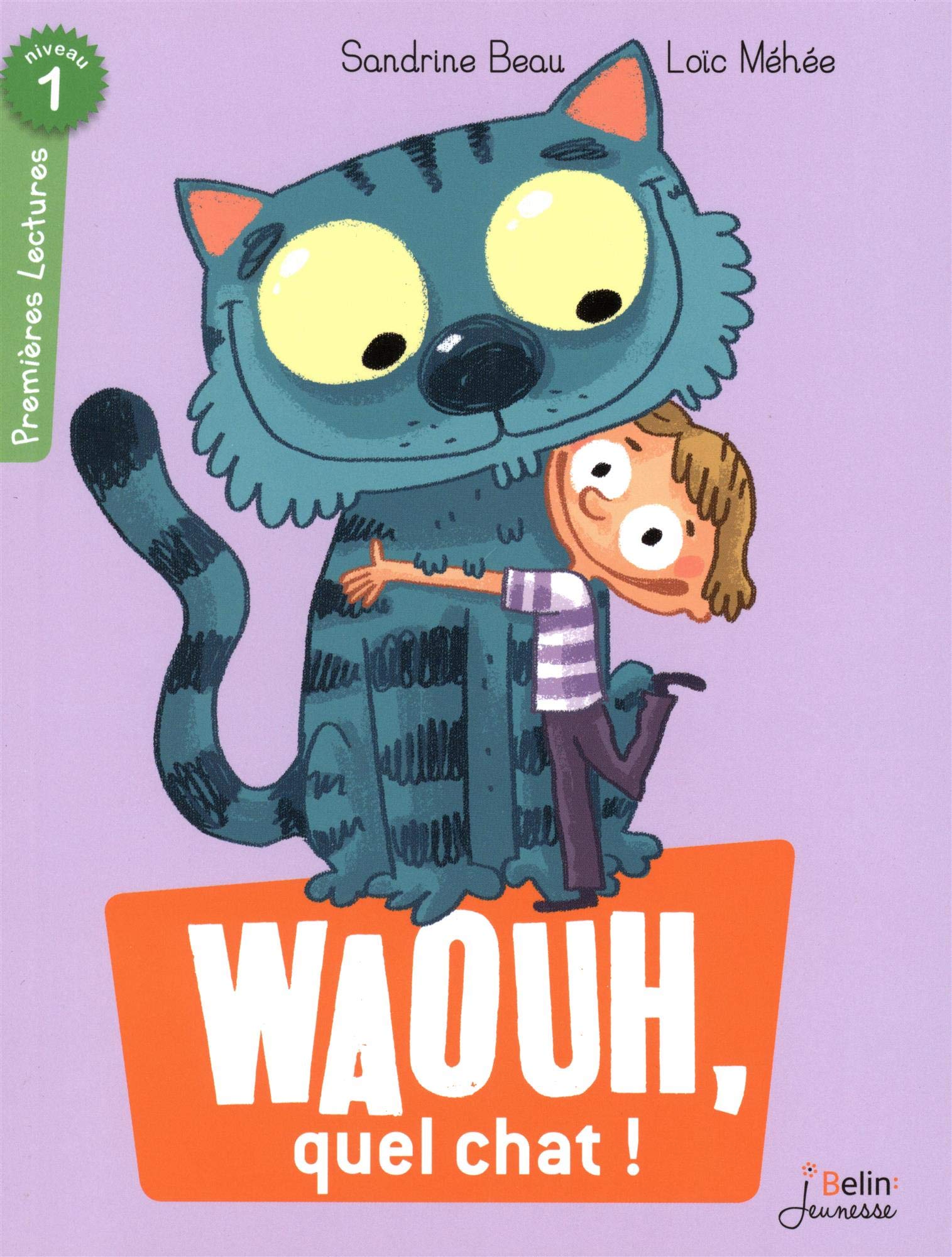 Waouh, quel chat !: Niveau 1 9782701191850