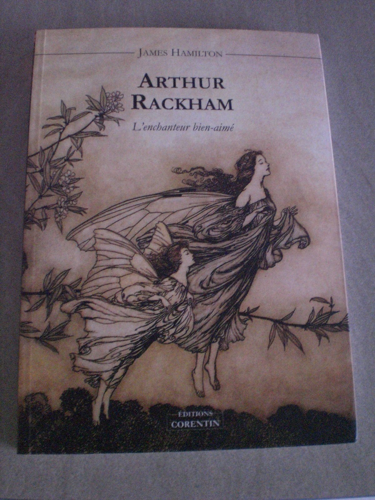 Arthur Rackham, l'enchanteur bien-aimé 9782909771465