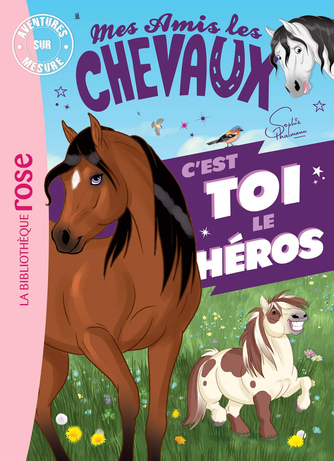Mes amis les chevaux - Aventures sur mesure XXL 9782017090205