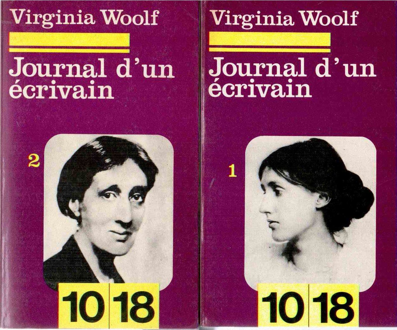 Journal d'un écrivain - complet en 2 volumes