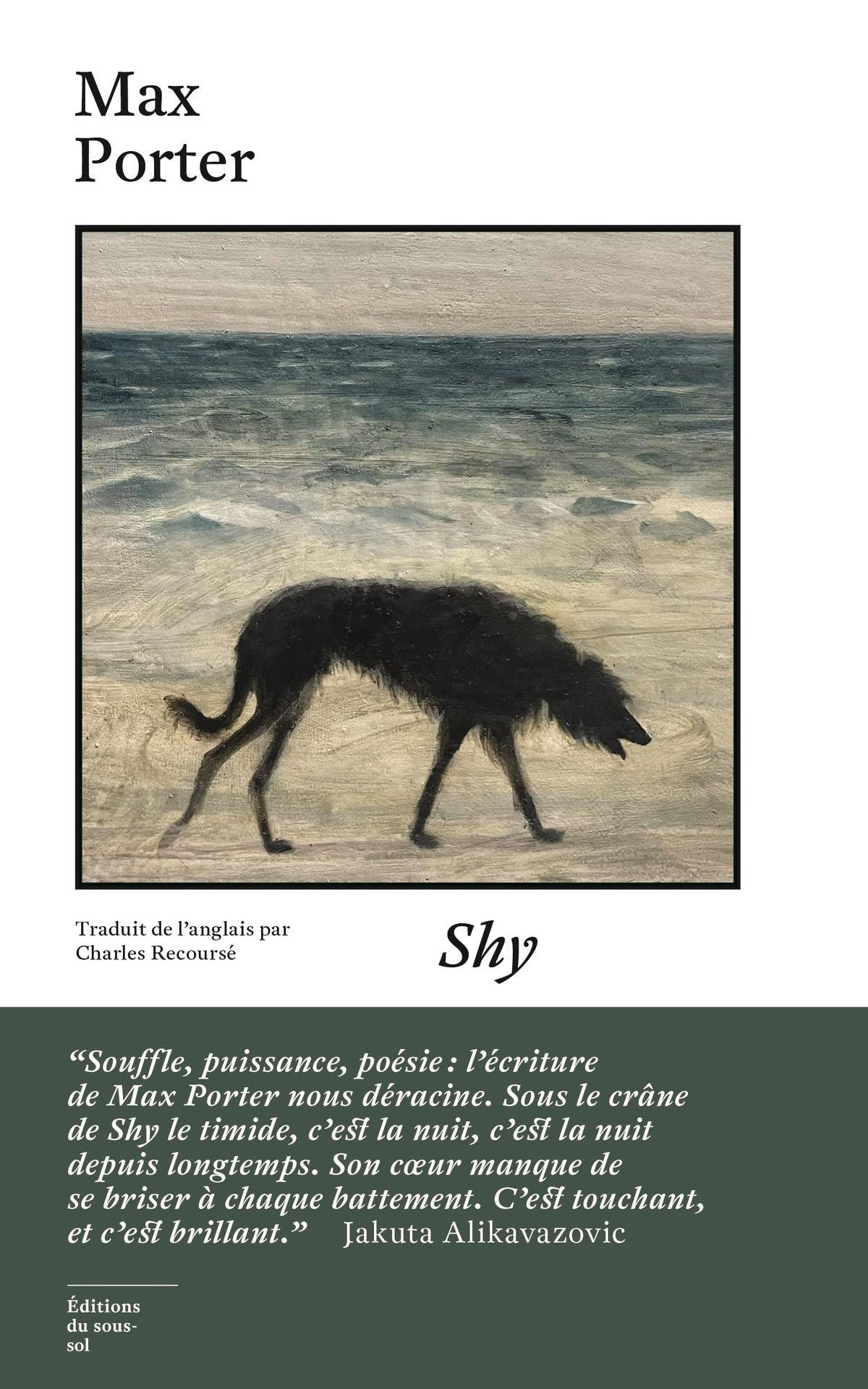 Shy 9782364686748