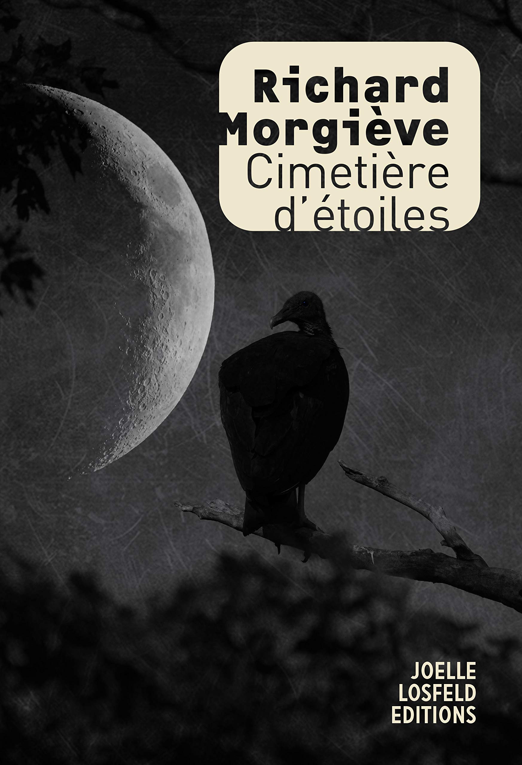 Cimetière d'étoiles 9782072927539