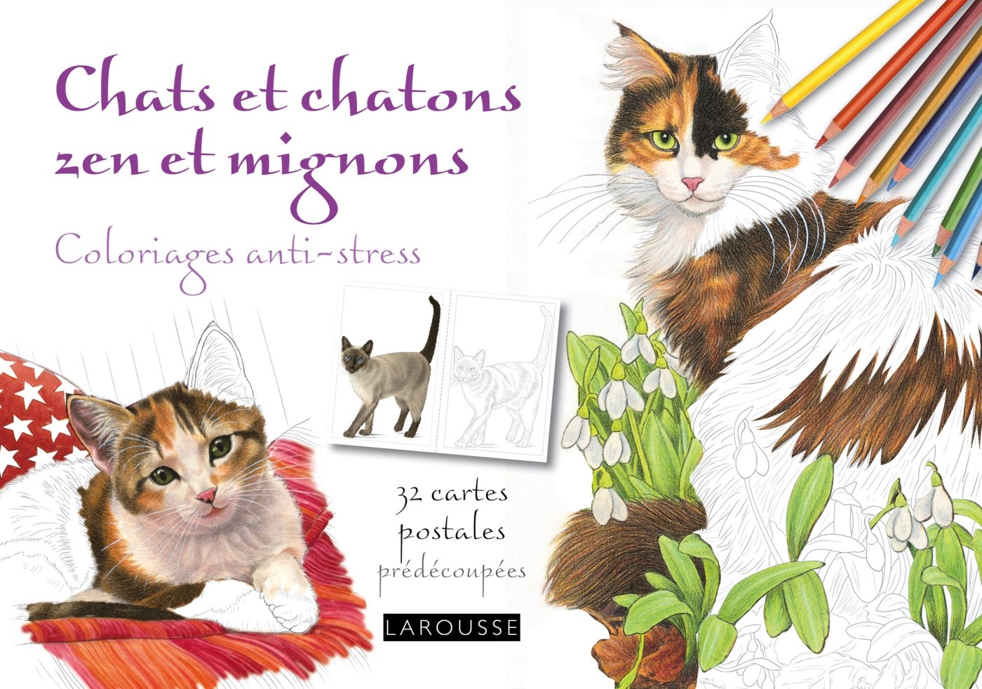 Chats et chatons zen et mignons coloriages anti-stress /cartes postales 9782035916204