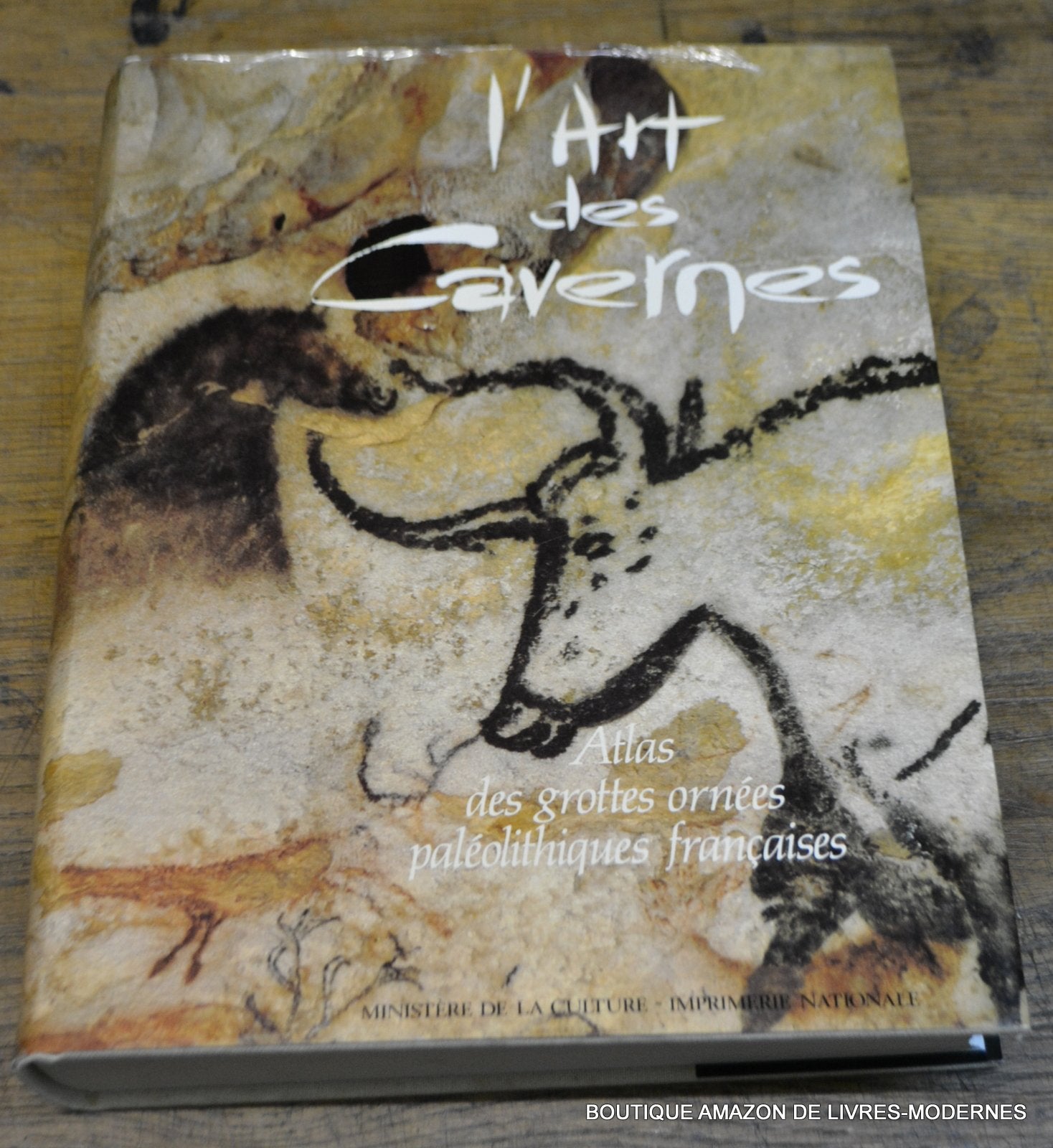 L'Art des cavernes: Atlas des grottes ornées paléolithiques françaises 9782110808172