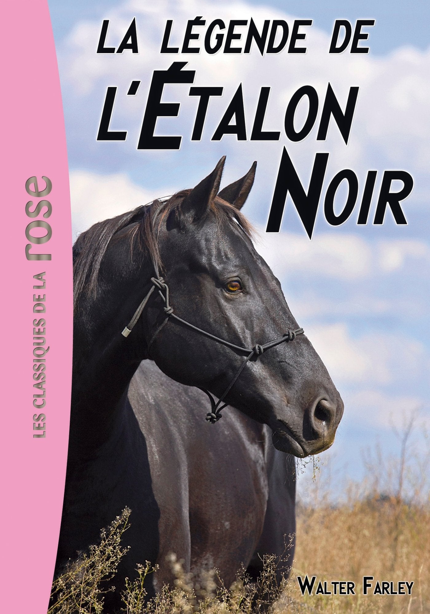 L'Étalon Noir 15 - La légende de l'Etalon Noir 9782012044067