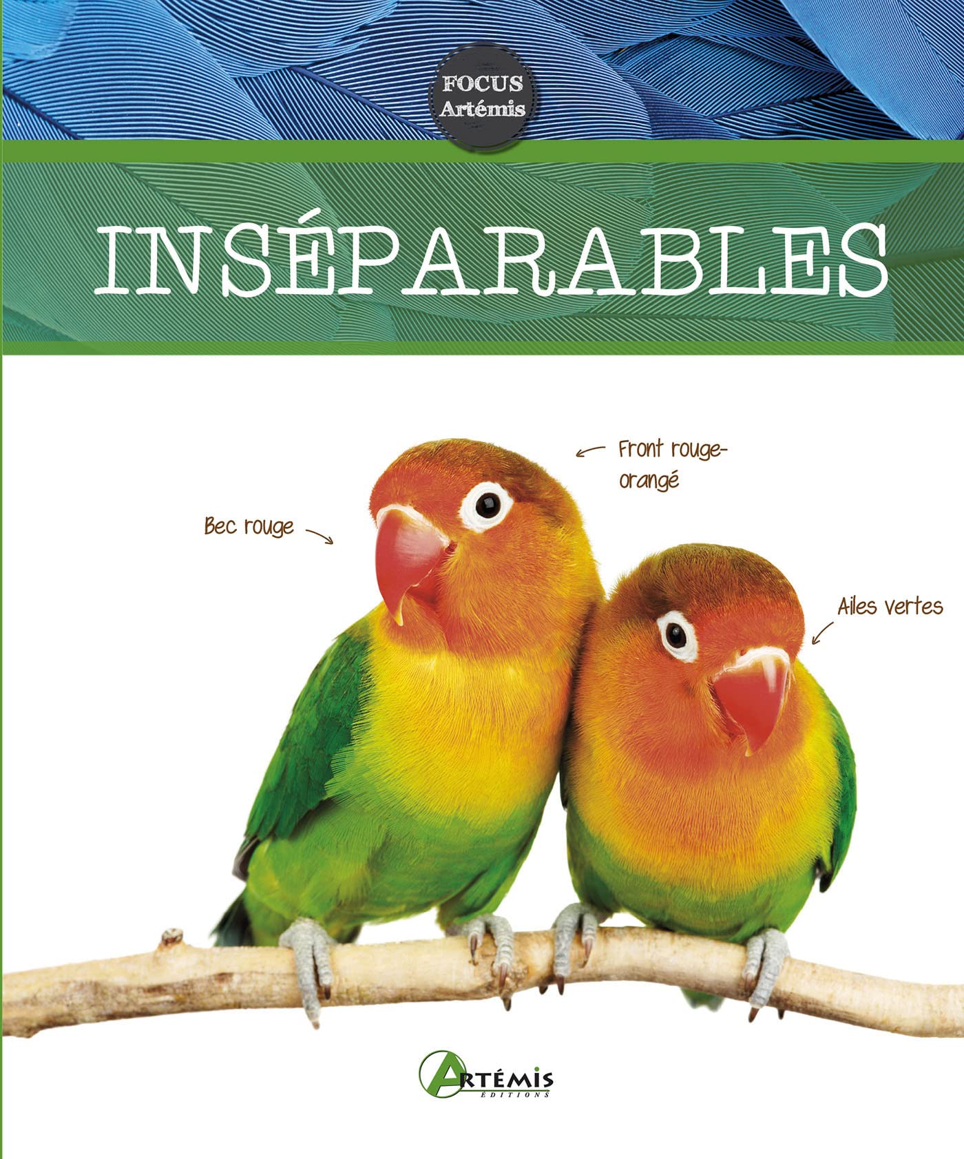 Inséparables 9782816007244