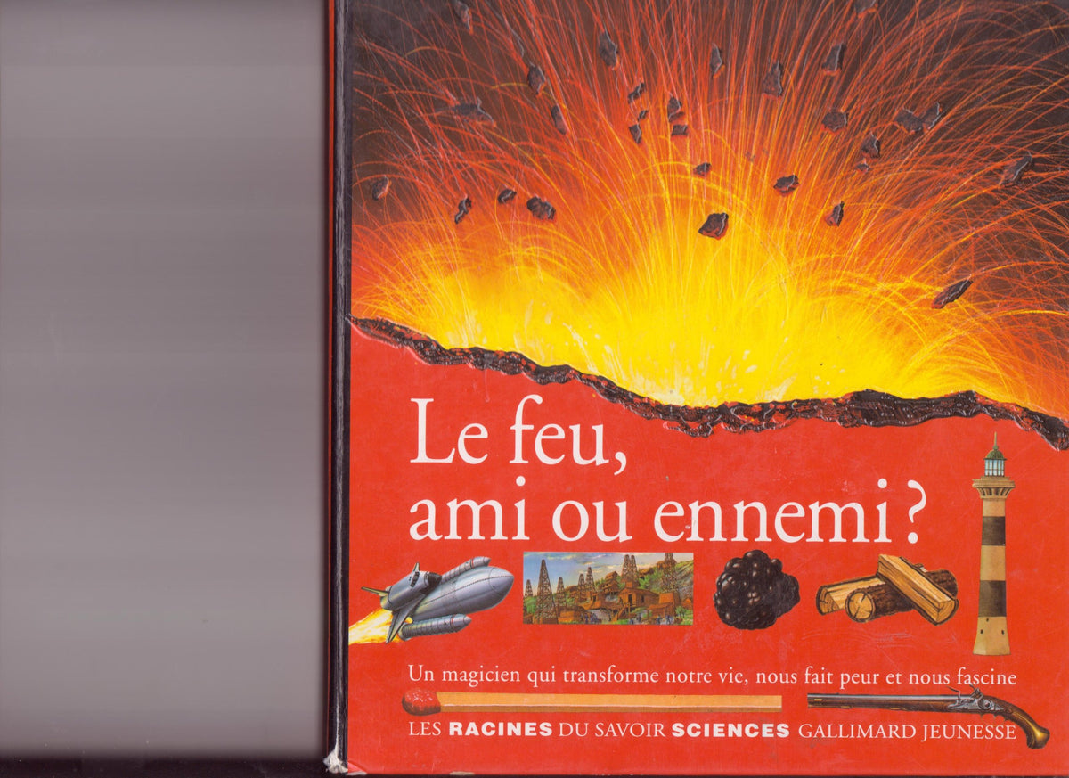 Le feu, ami ou ennemi ?: Un magicien qui transforme notre vie, nous fait peur et nous fascine 9782070568314