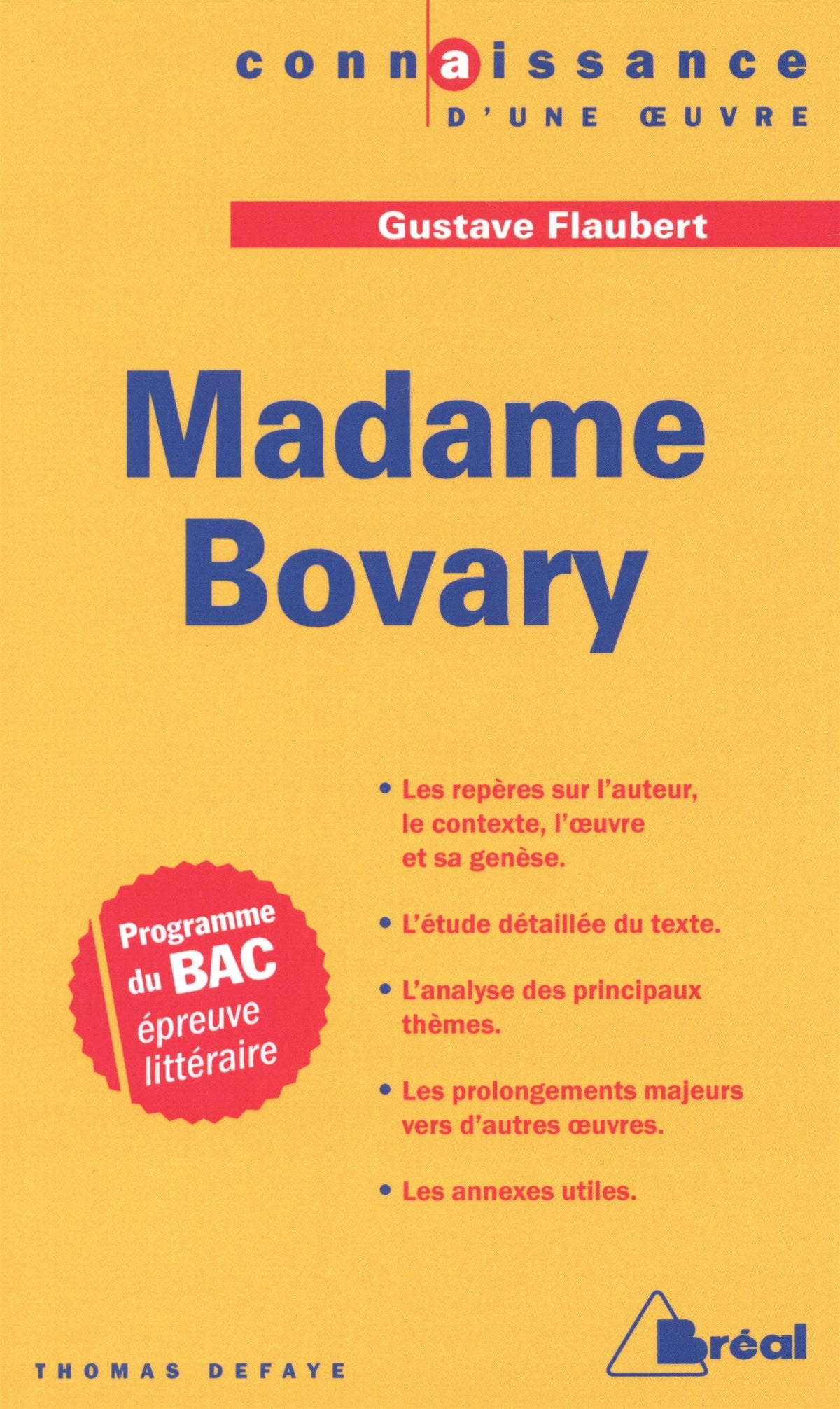 Madame Bovary 9782842911430