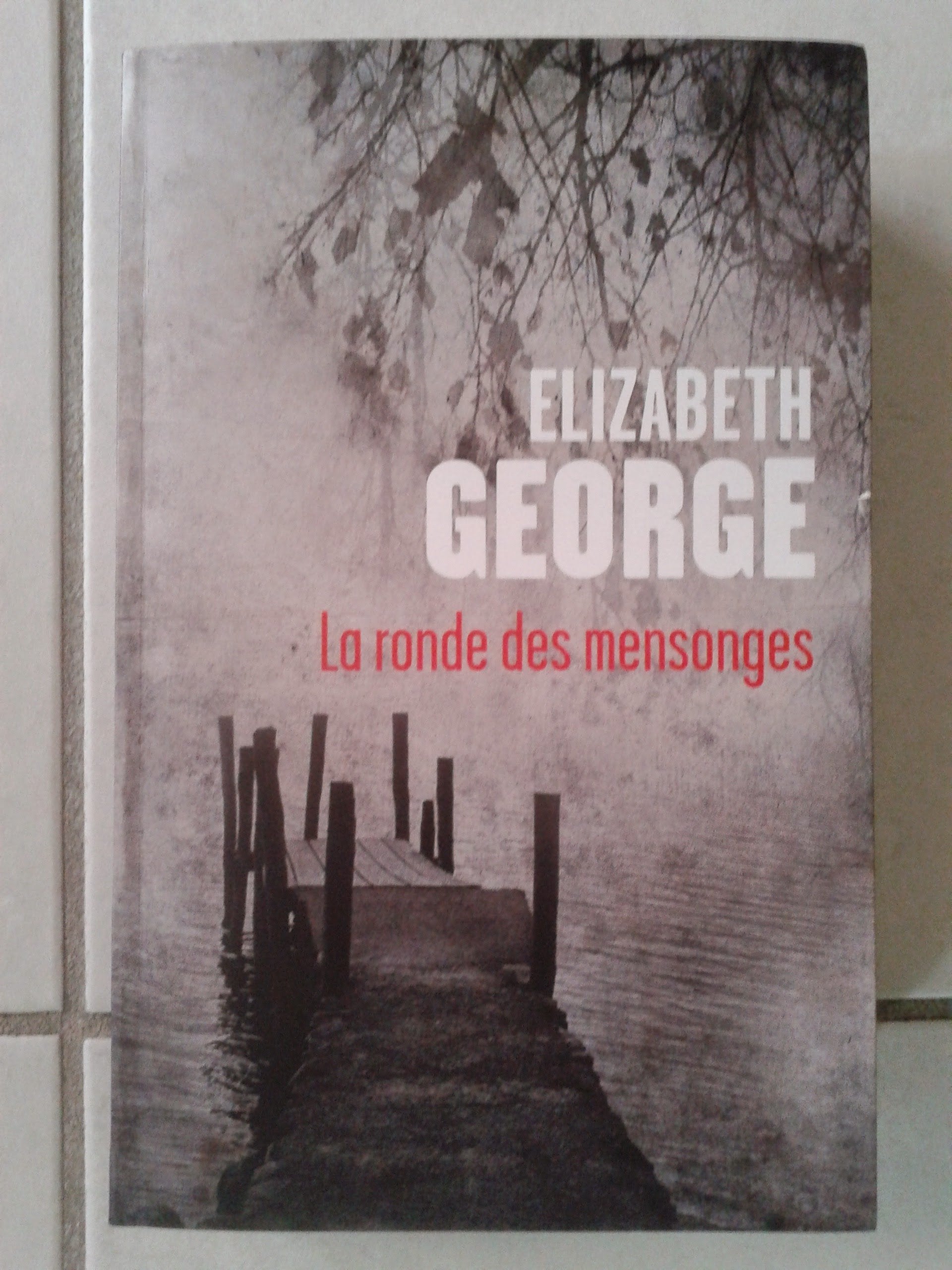 La ronde des mensonges 9782286085032